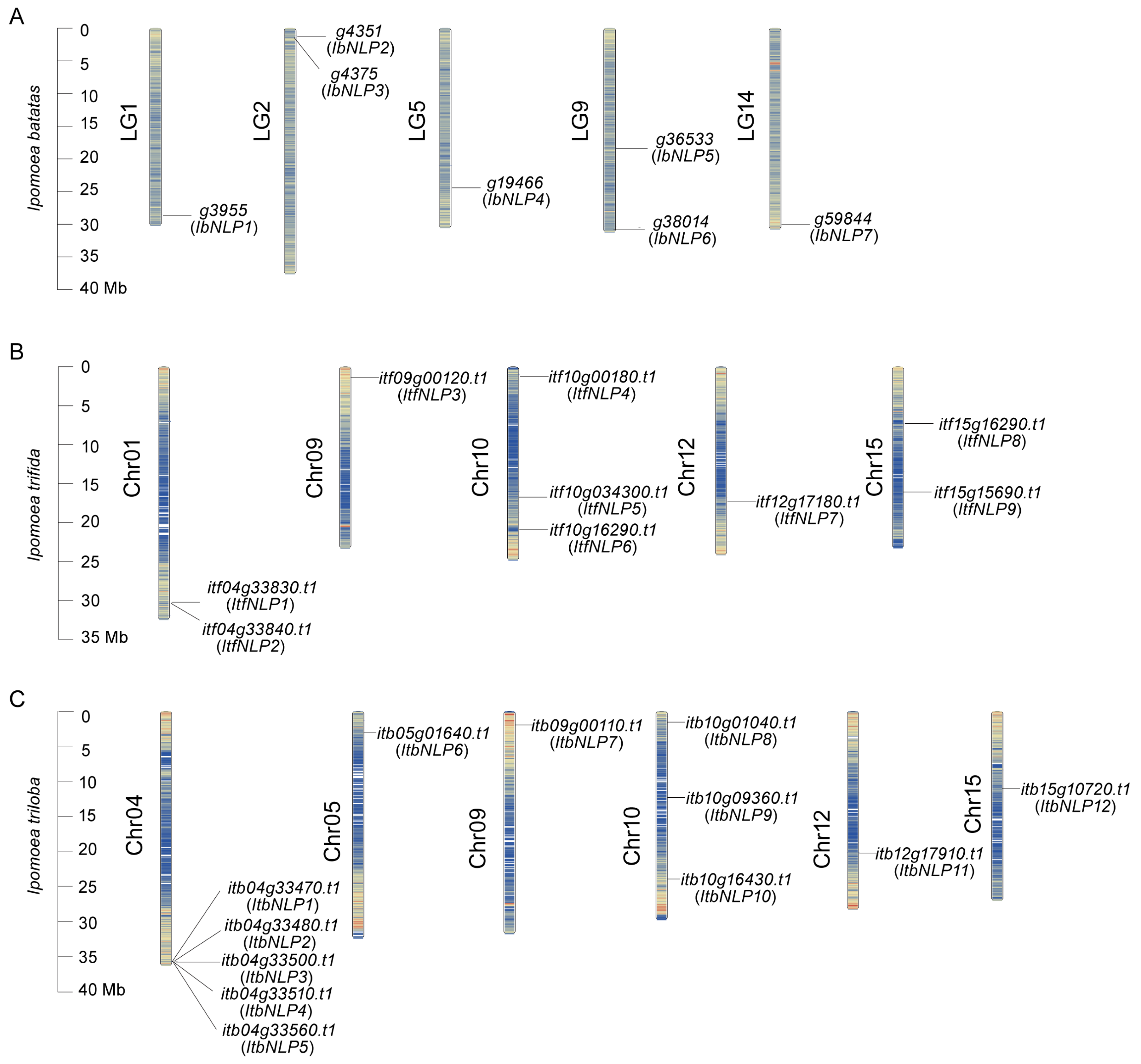 Ijms 26 08435 g001 Ijms 26 08435 g001