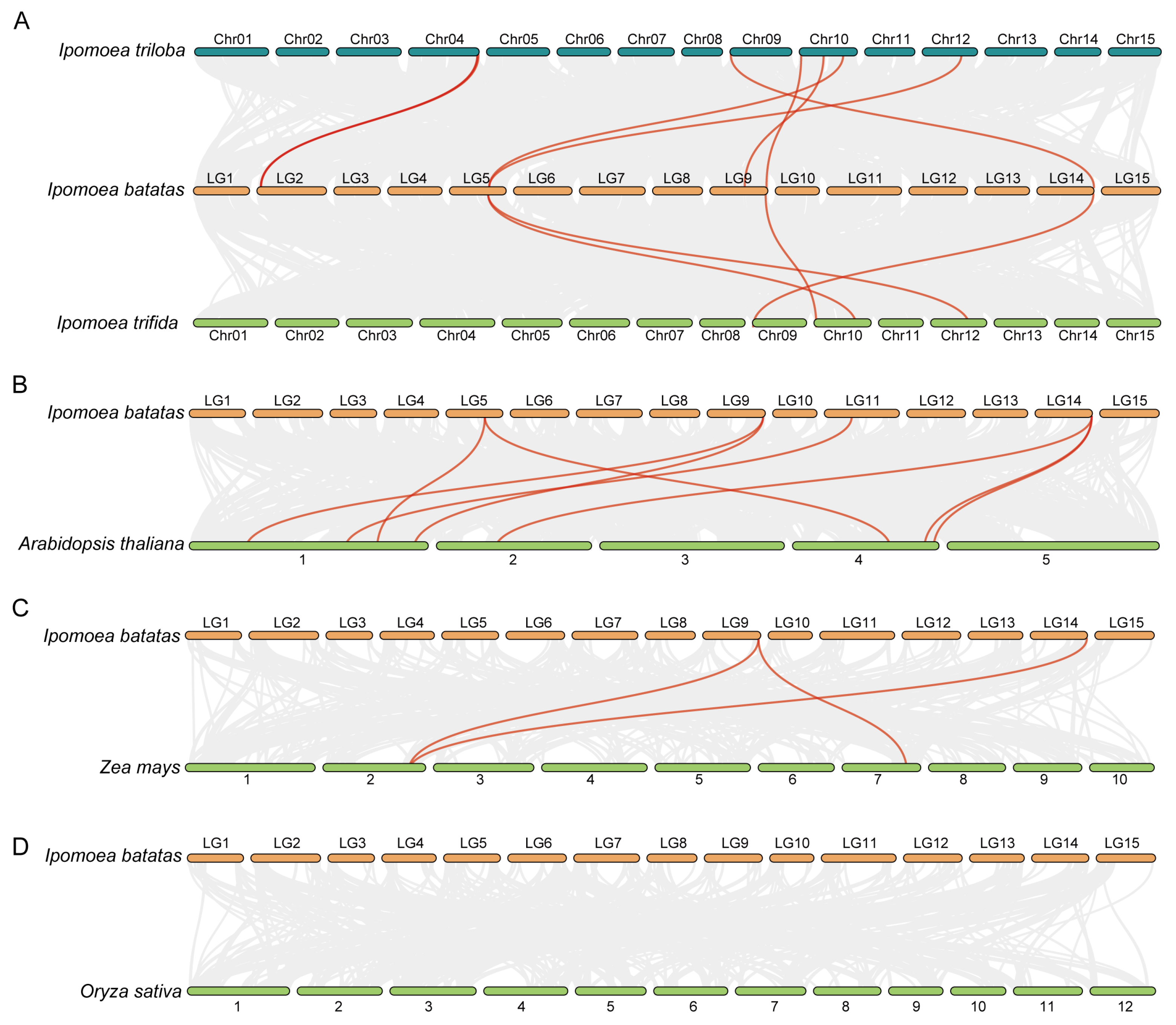 Ijms 26 08435 g002 Ijms 26 08435 g002