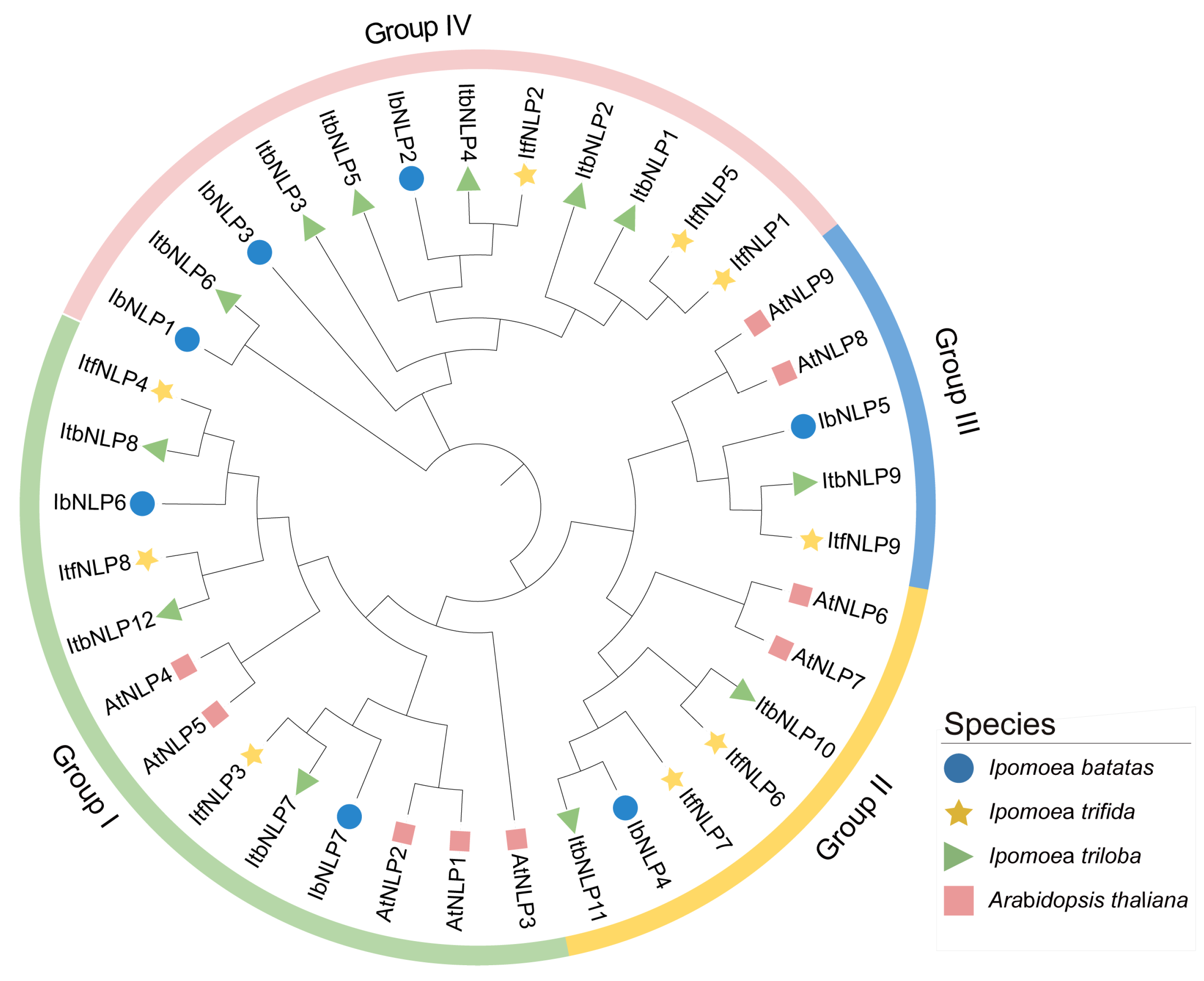 Ijms 26 08435 g003 Ijms 26 08435 g003