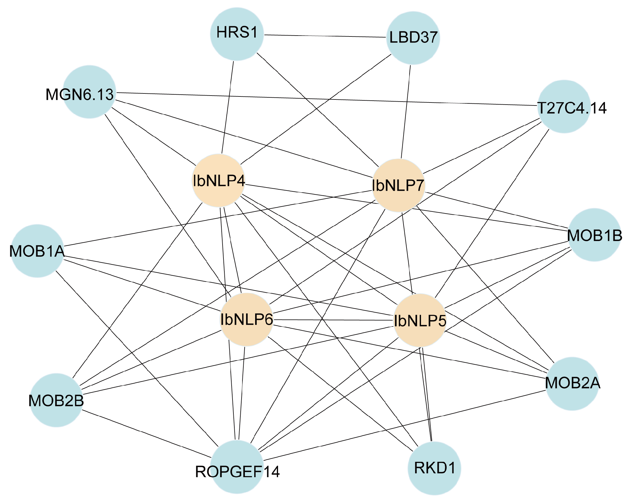 Ijms 26 08435 g006 Ijms 26 08435 g006