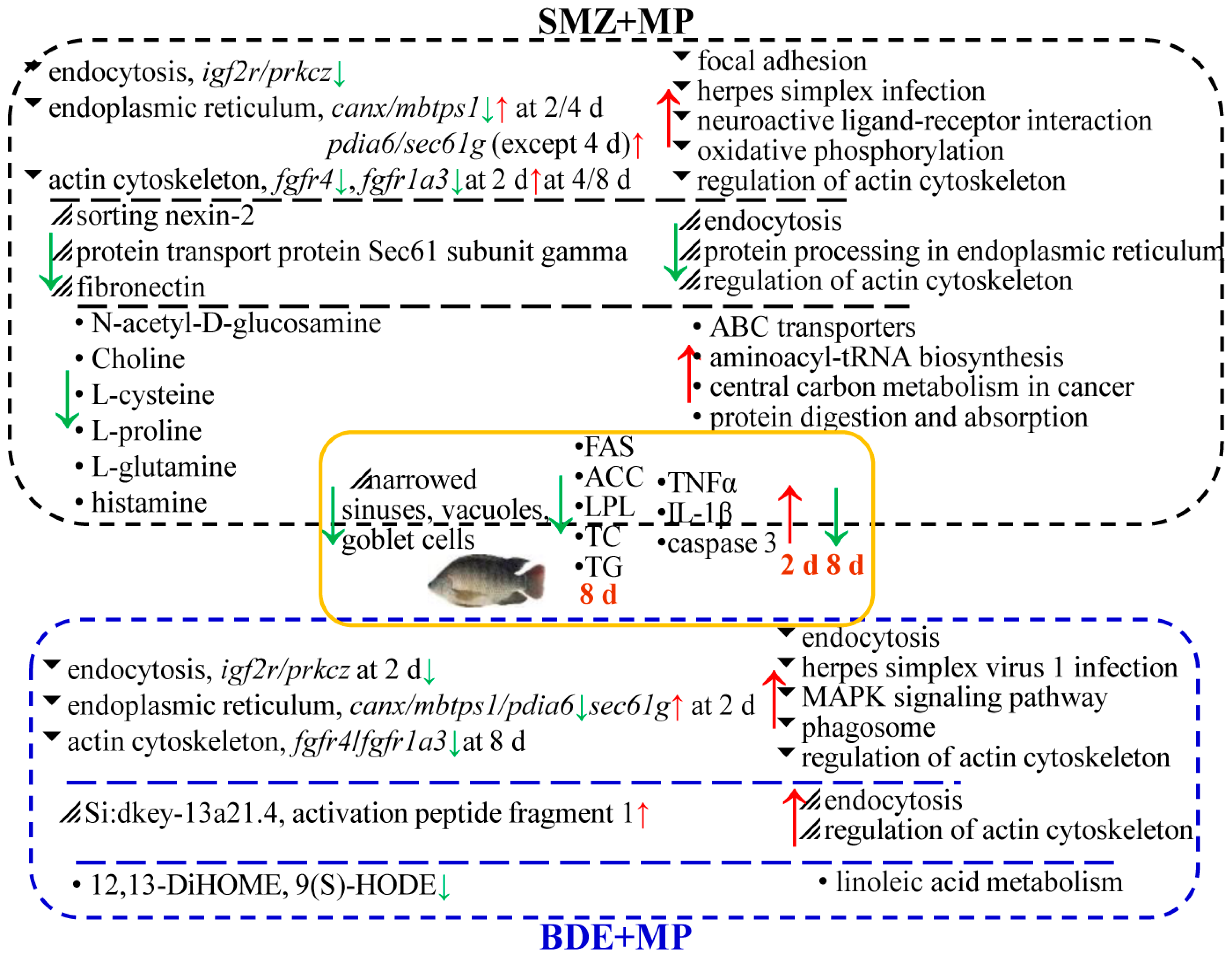 Ijms 26 08441 g008 Ijms 26 08441 g008