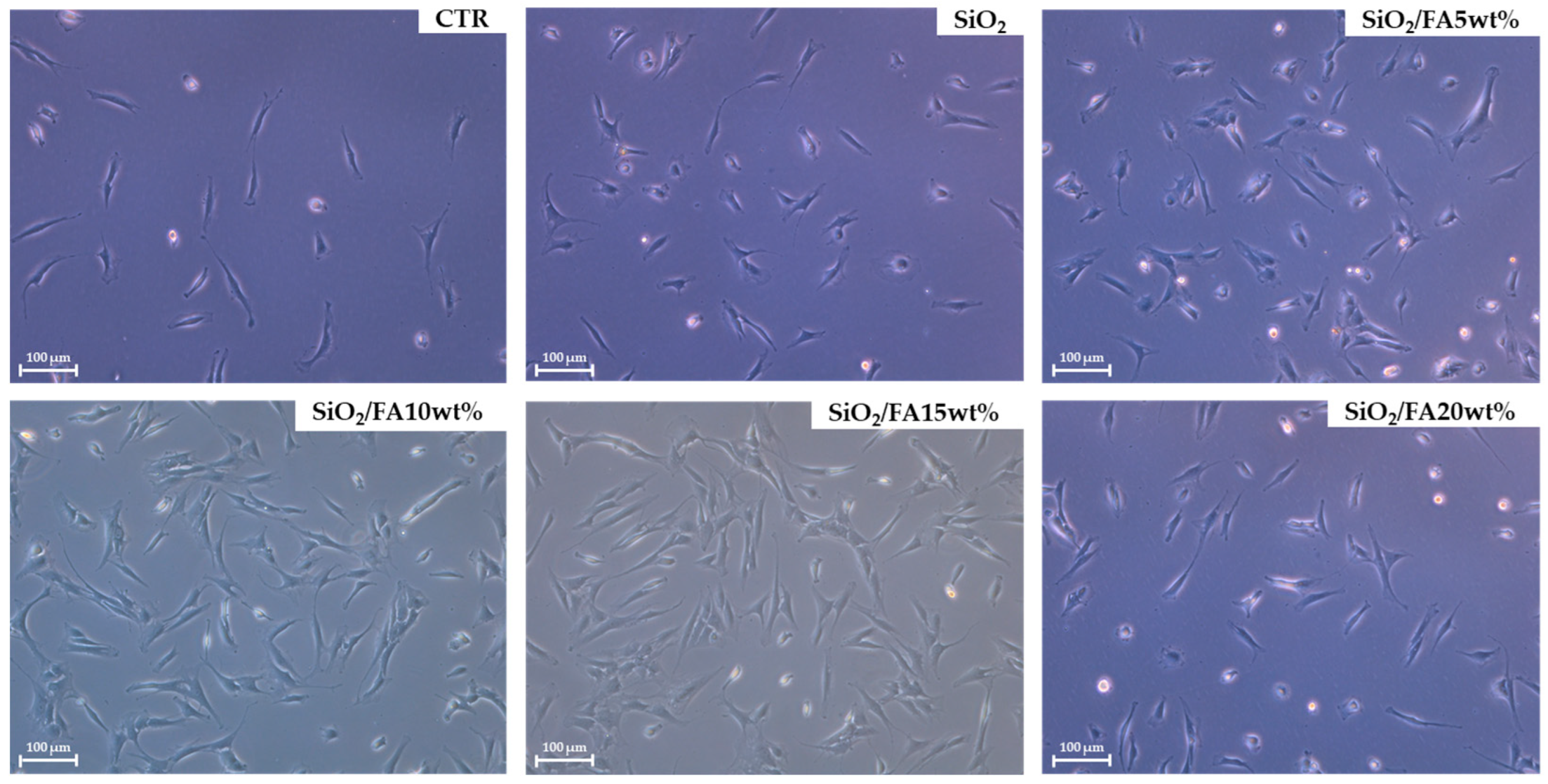 Ijms 26 08450 g006 Ijms 26 08450 g006