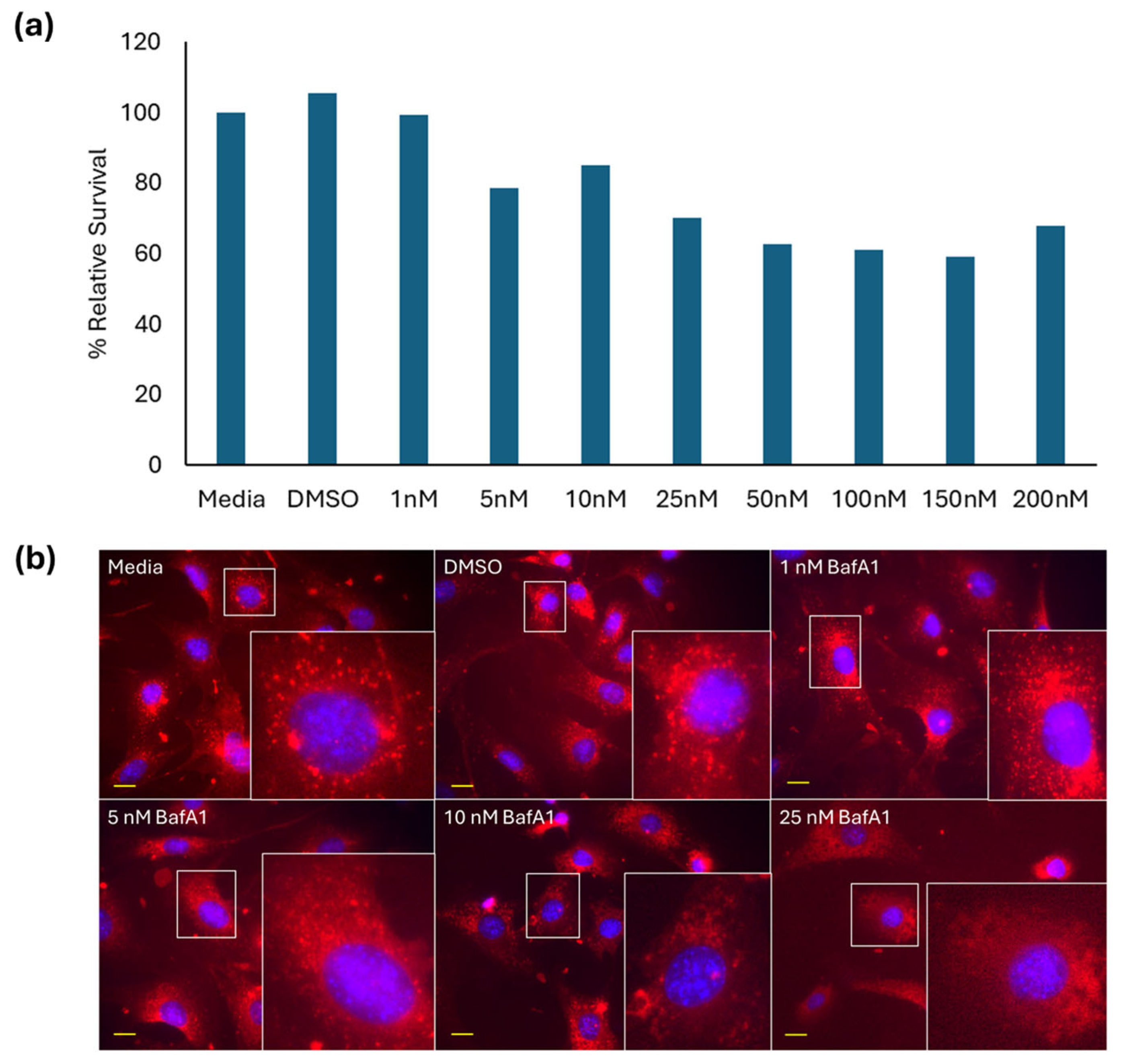 Ijms 26 08451 g001 Ijms 26 08451 g001