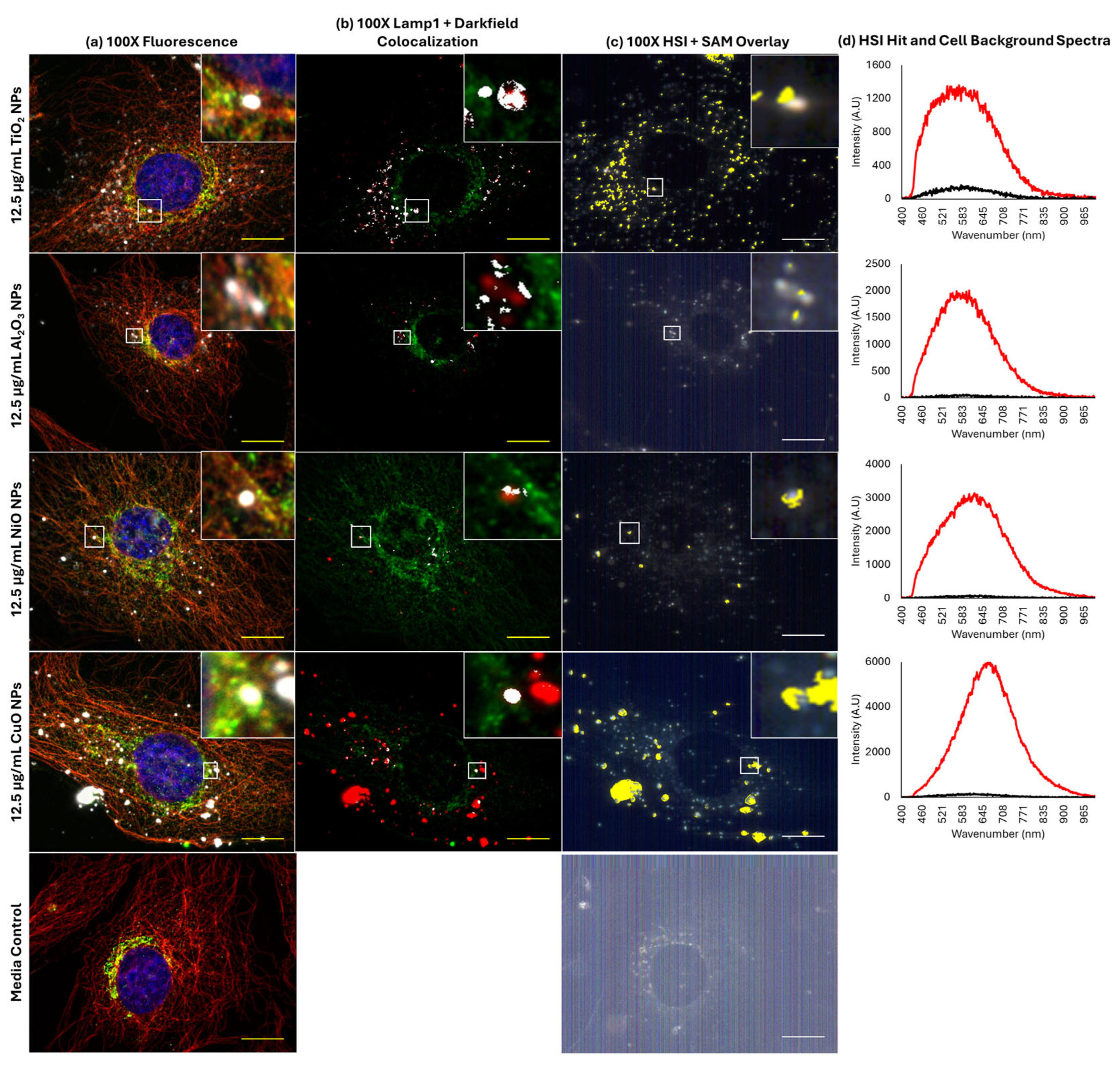 Ijms 26 08451 g005 Ijms 26 08451 g005