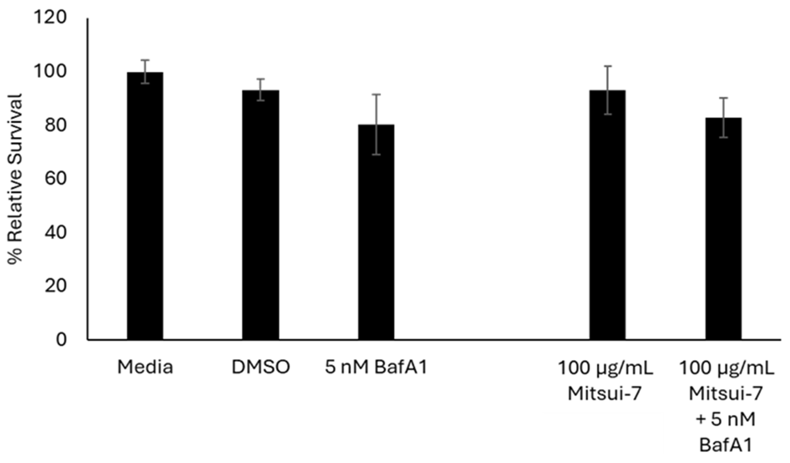 Ijms 26 08451 g009 Ijms 26 08451 g009