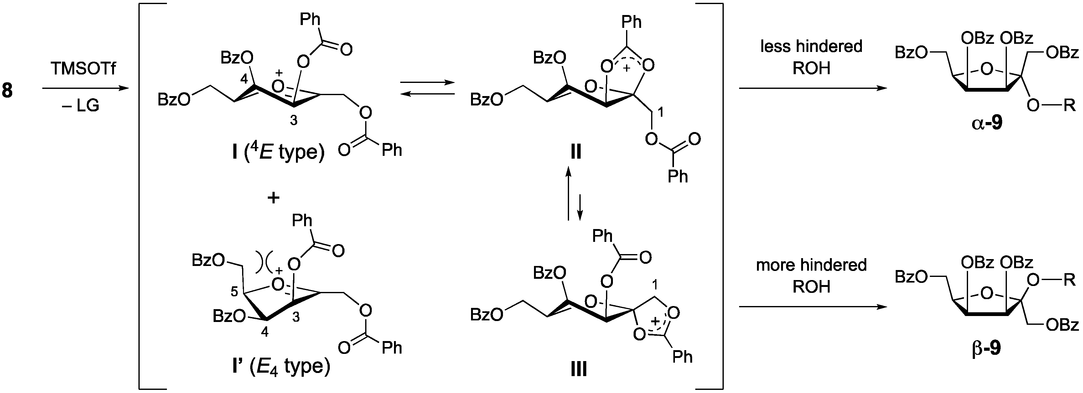 Ijms 26 08459 sch004