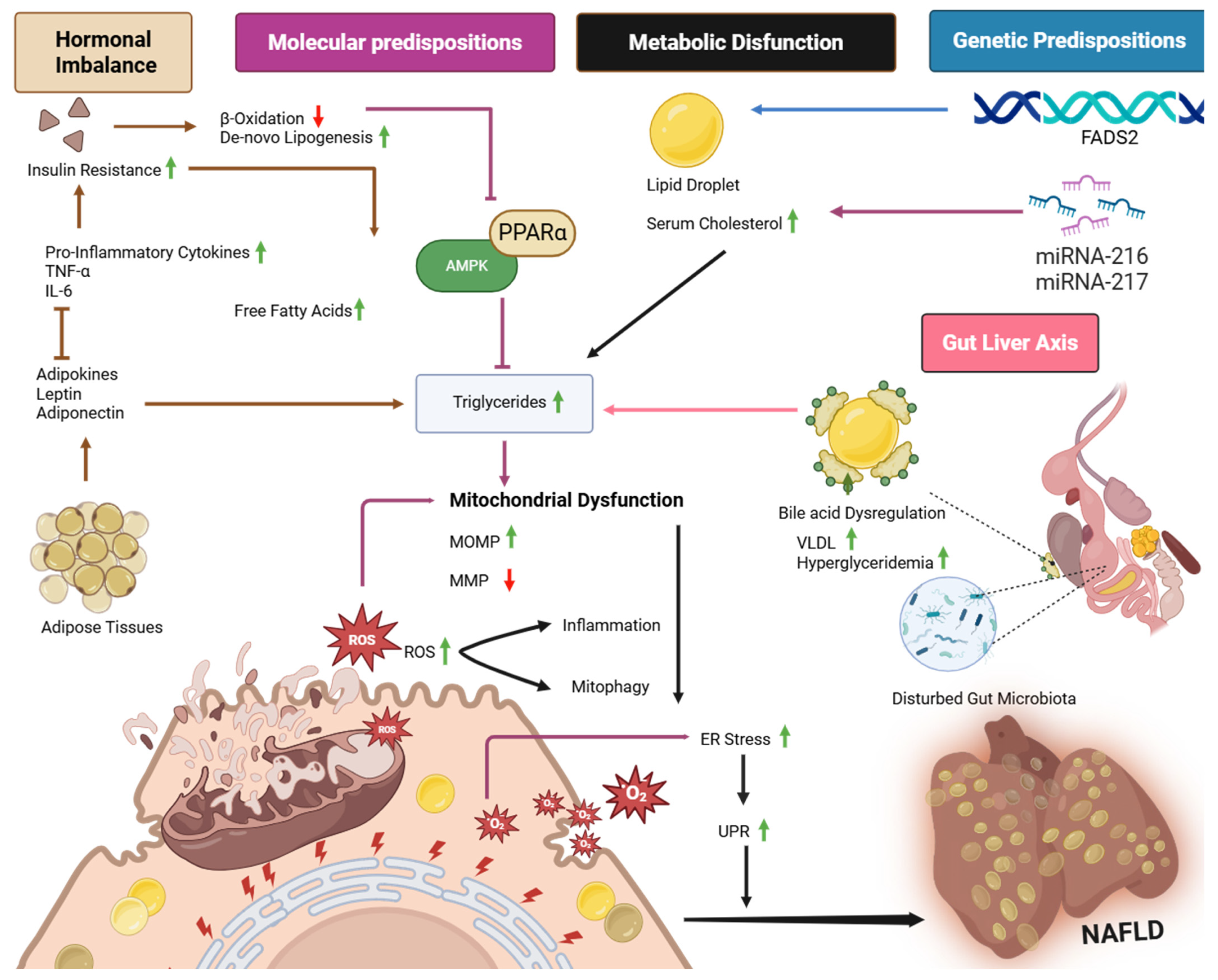 Ijms 26 08460 g001 Ijms 26 08460 g001