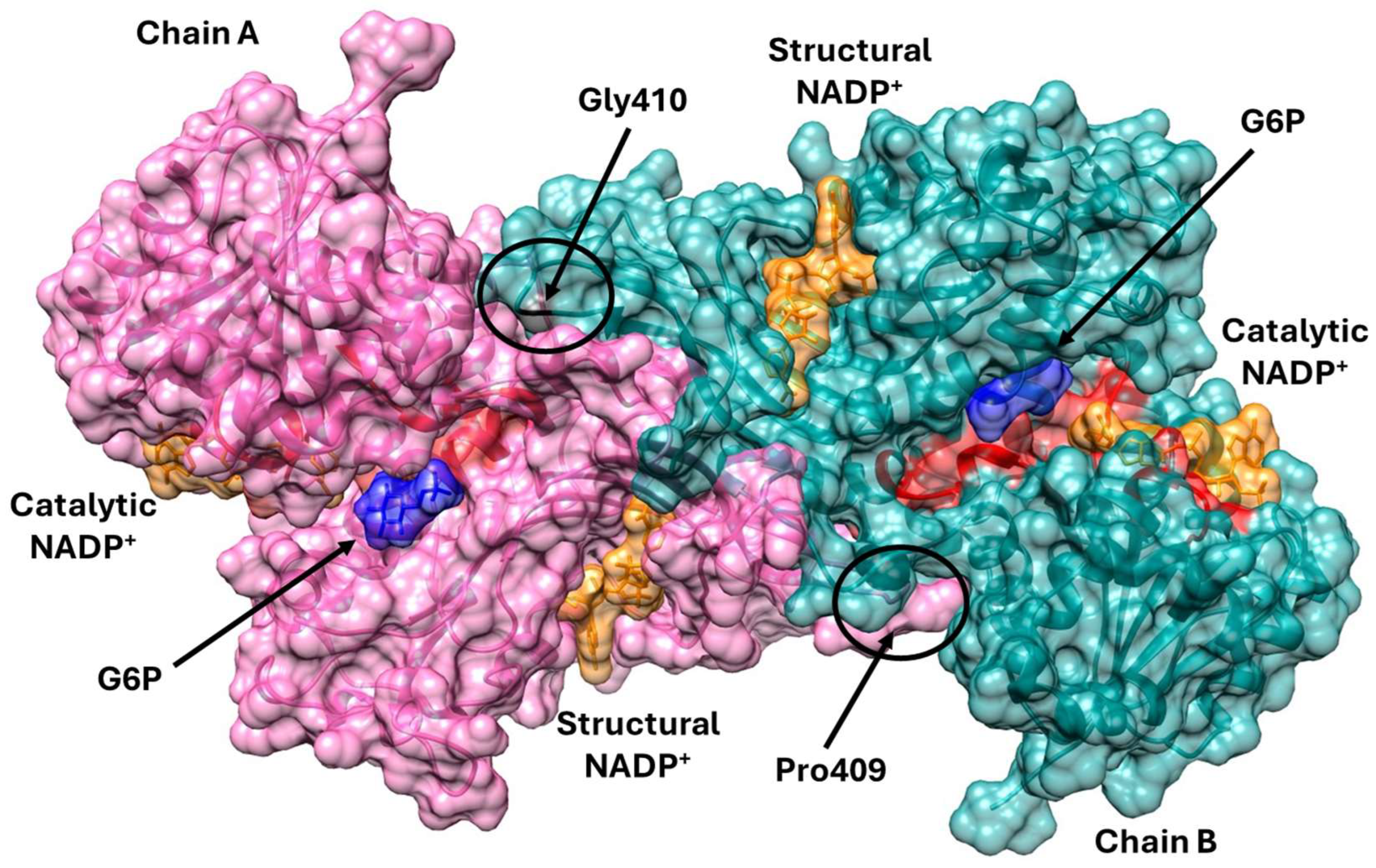 Ijms 26 08464 g001 Ijms 26 08464 g001