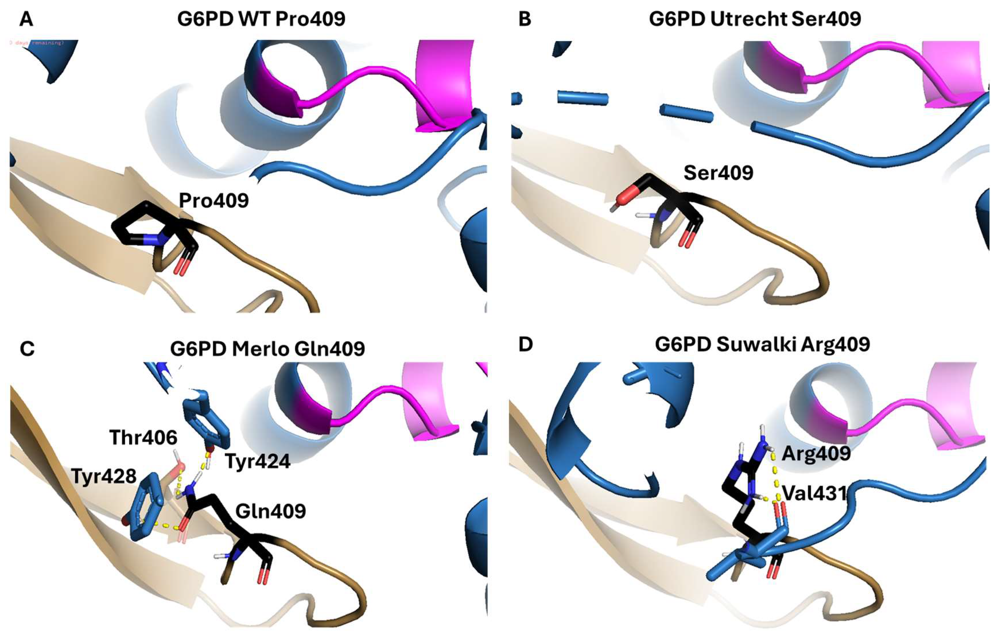 Ijms 26 08464 g003 Ijms 26 08464 g003