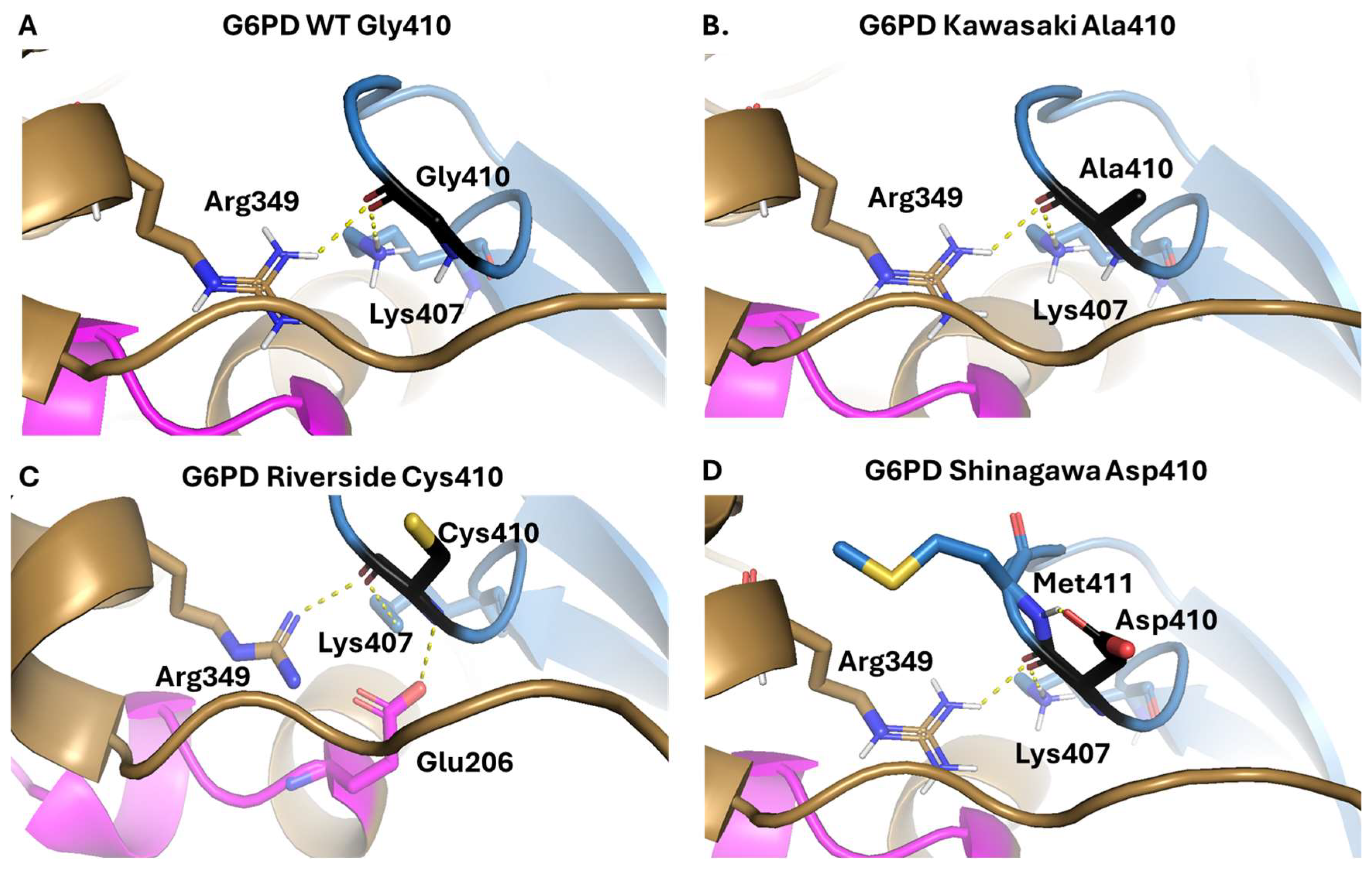 Ijms 26 08464 g004 Ijms 26 08464 g004