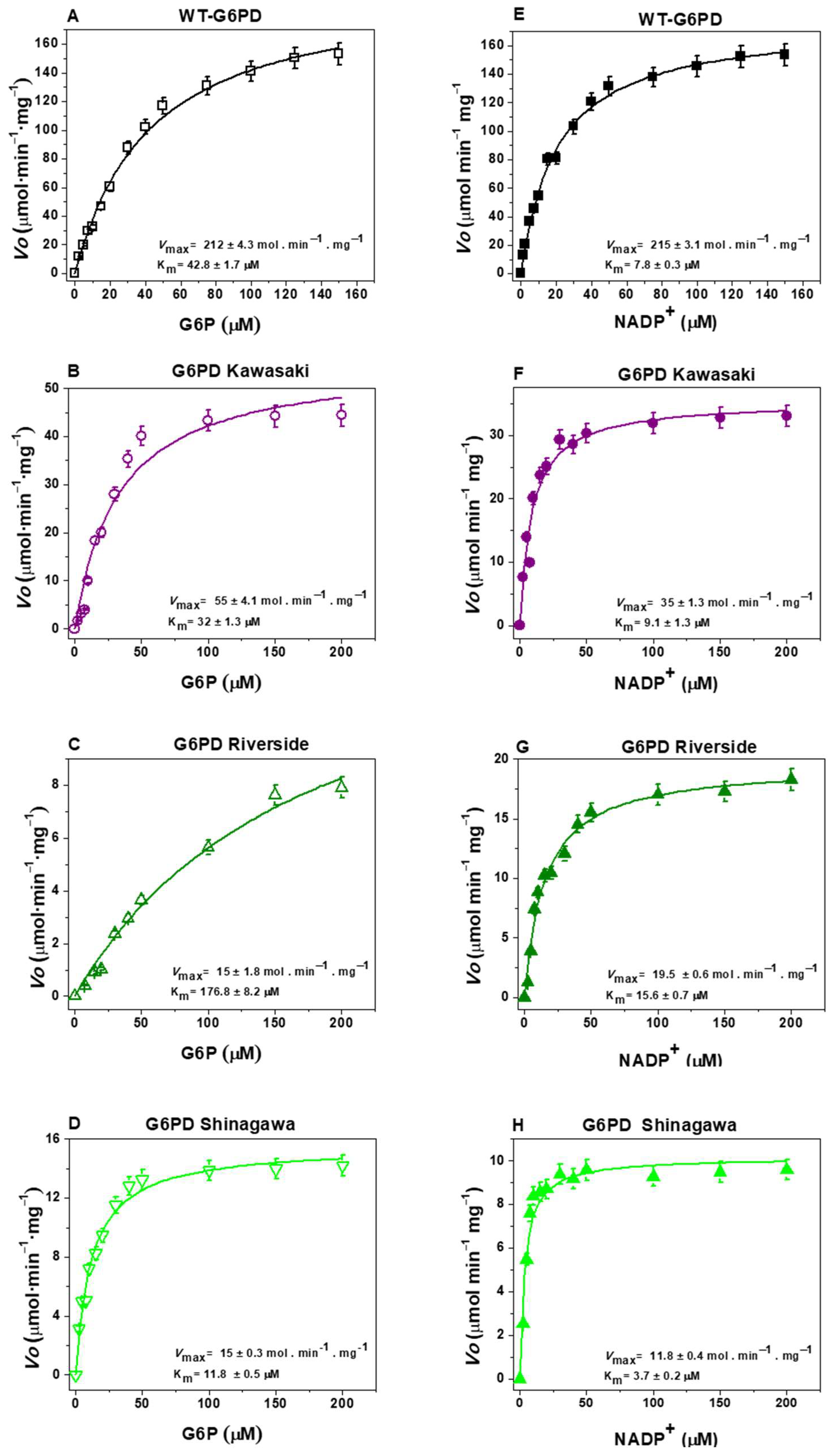 Ijms 26 08464 g005 Ijms 26 08464 g005