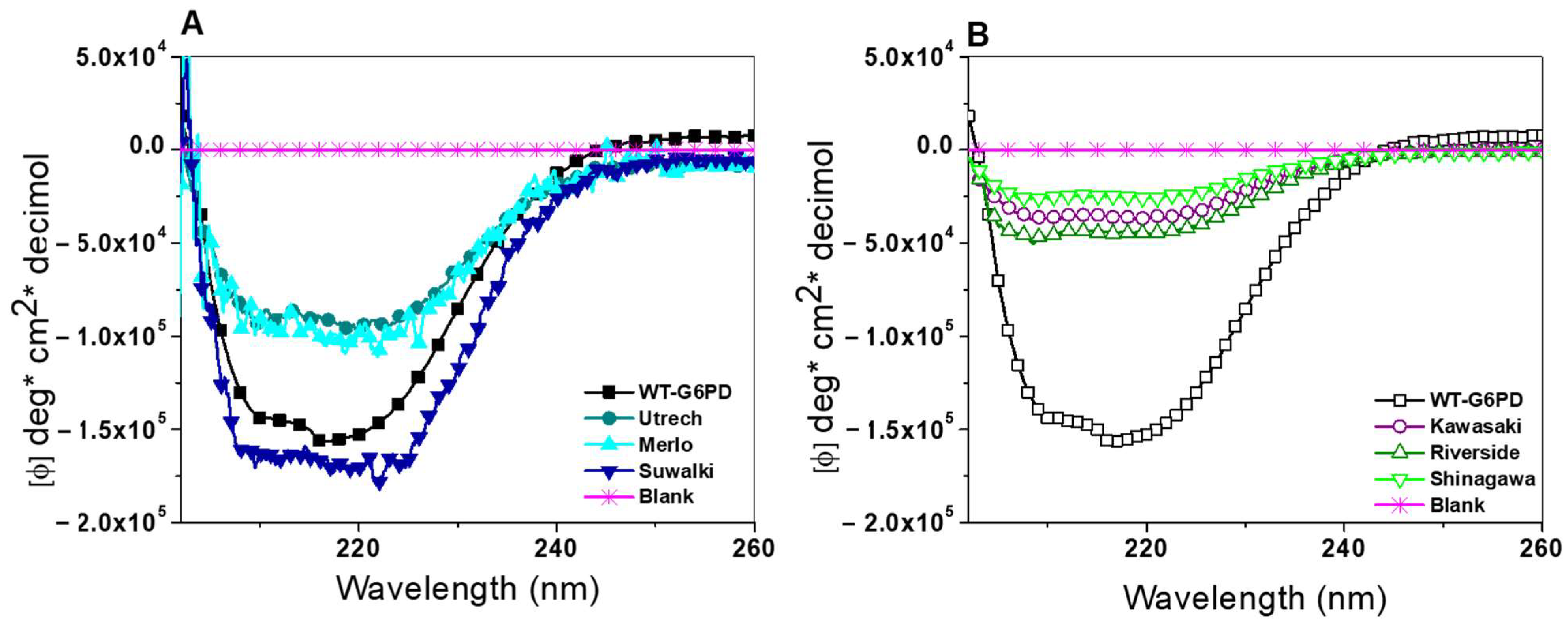 Ijms 26 08464 g007 Ijms 26 08464 g007