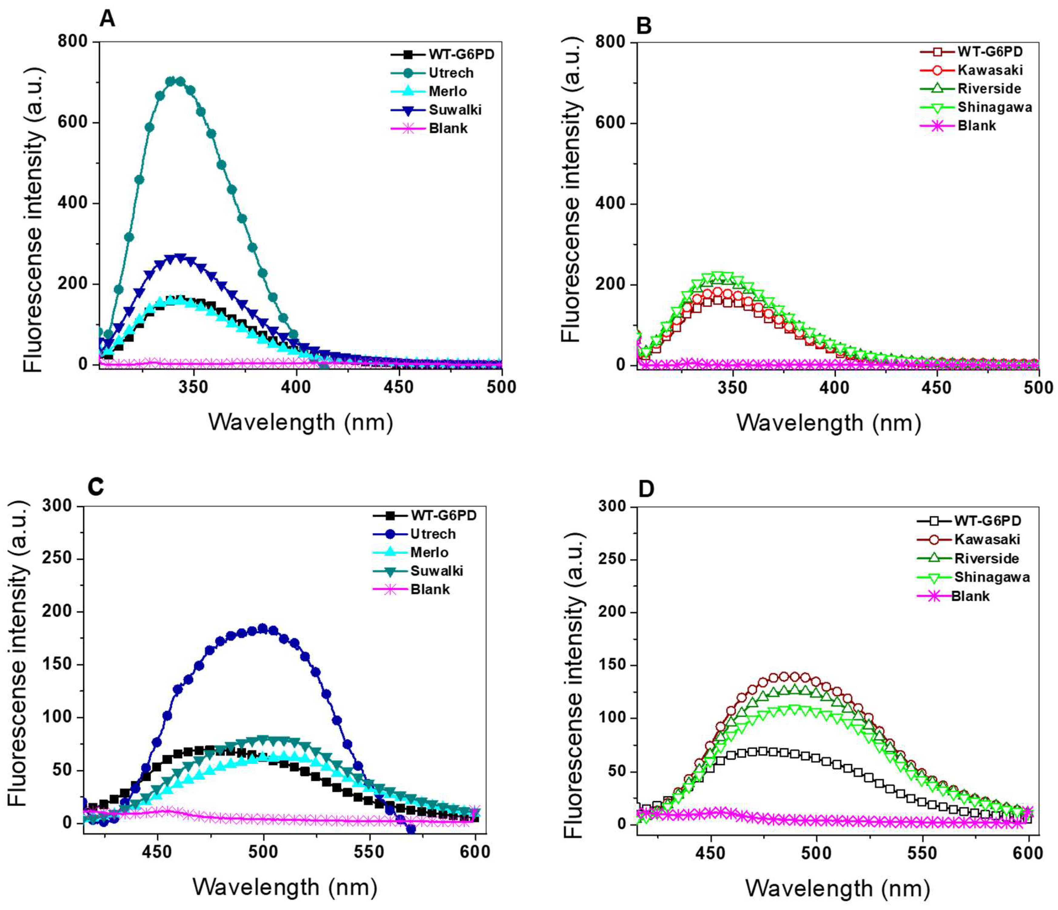 Ijms 26 08464 g008 Ijms 26 08464 g008