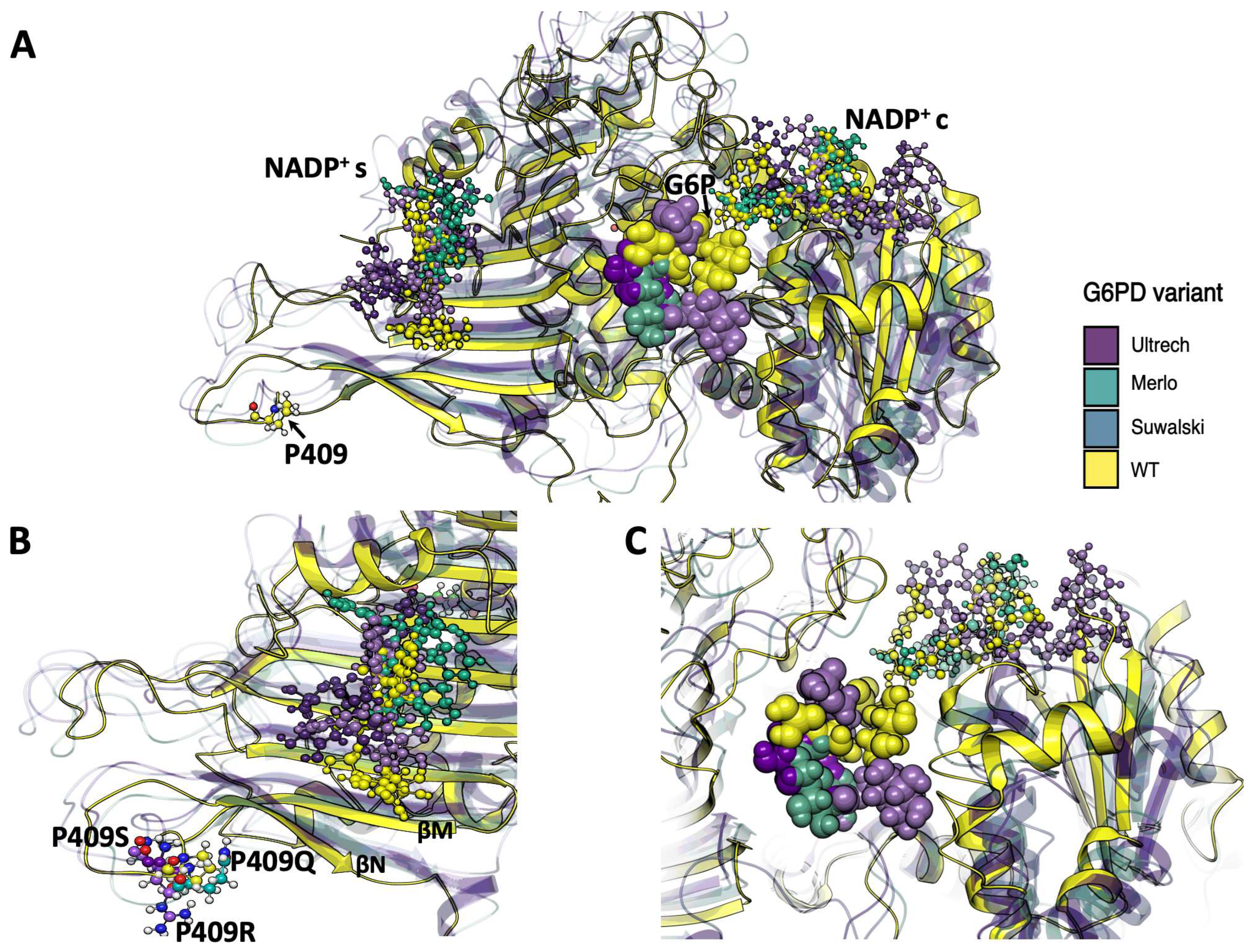 Ijms 26 08464 g010 Ijms 26 08464 g010