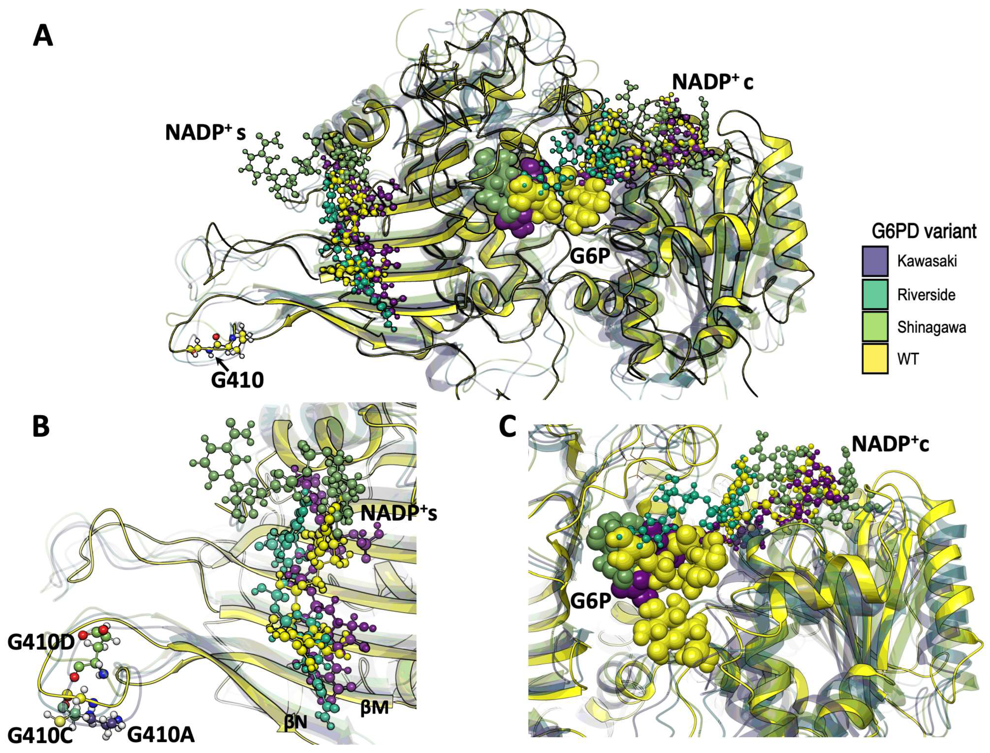Ijms 26 08464 g011 Ijms 26 08464 g011