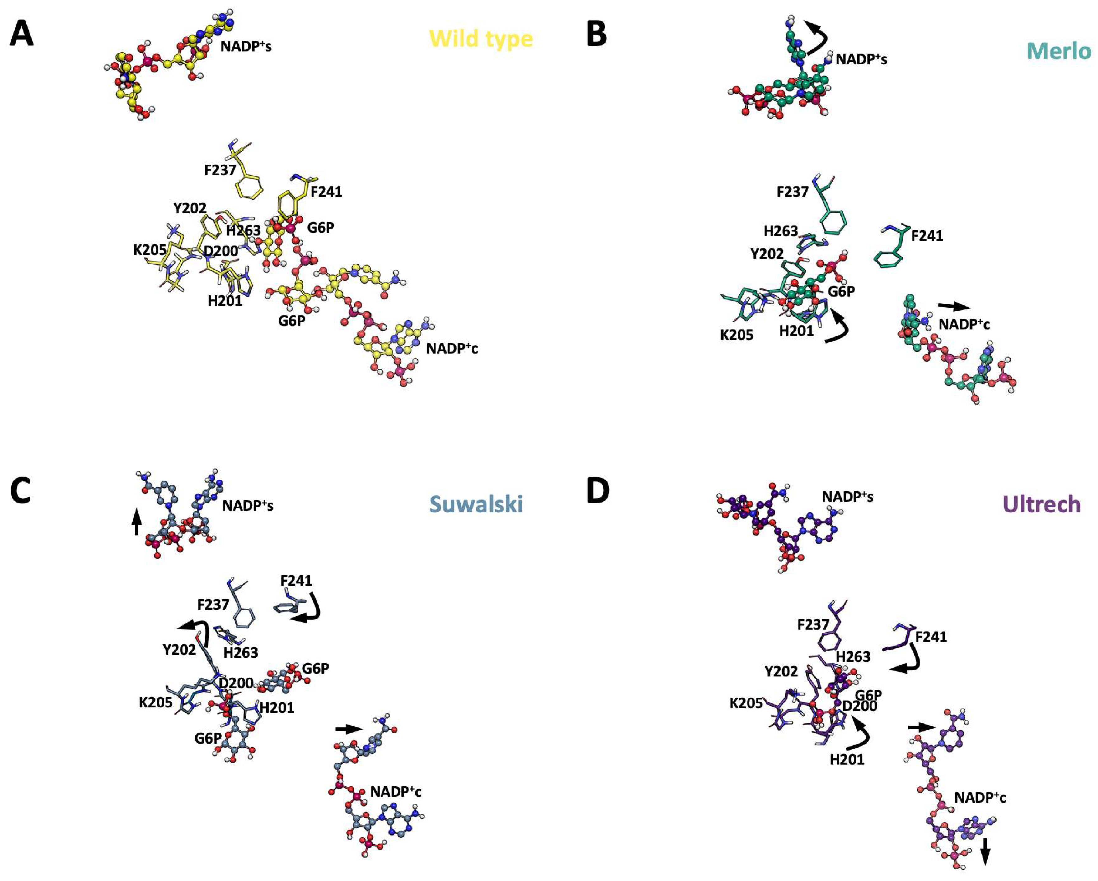 Ijms 26 08464 g013 Ijms 26 08464 g013