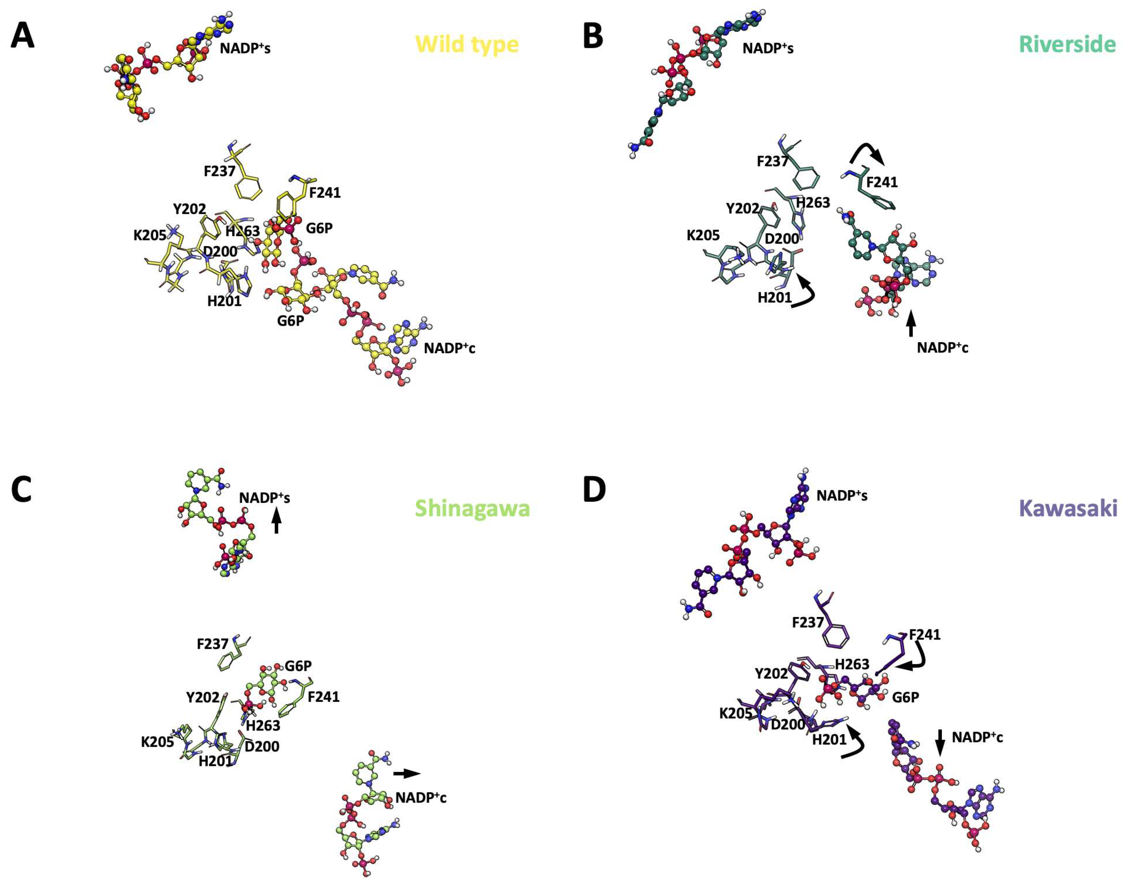 Ijms 26 08464 g014 Ijms 26 08464 g014