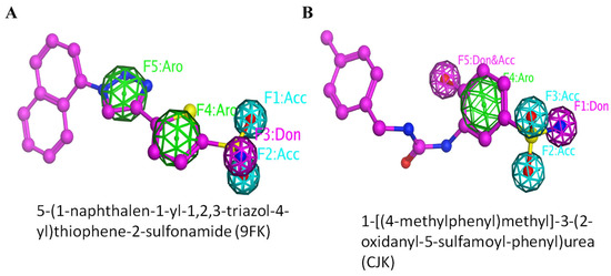 Computational Discovery of Selective Carbonic Anhydrase IX (CA IX