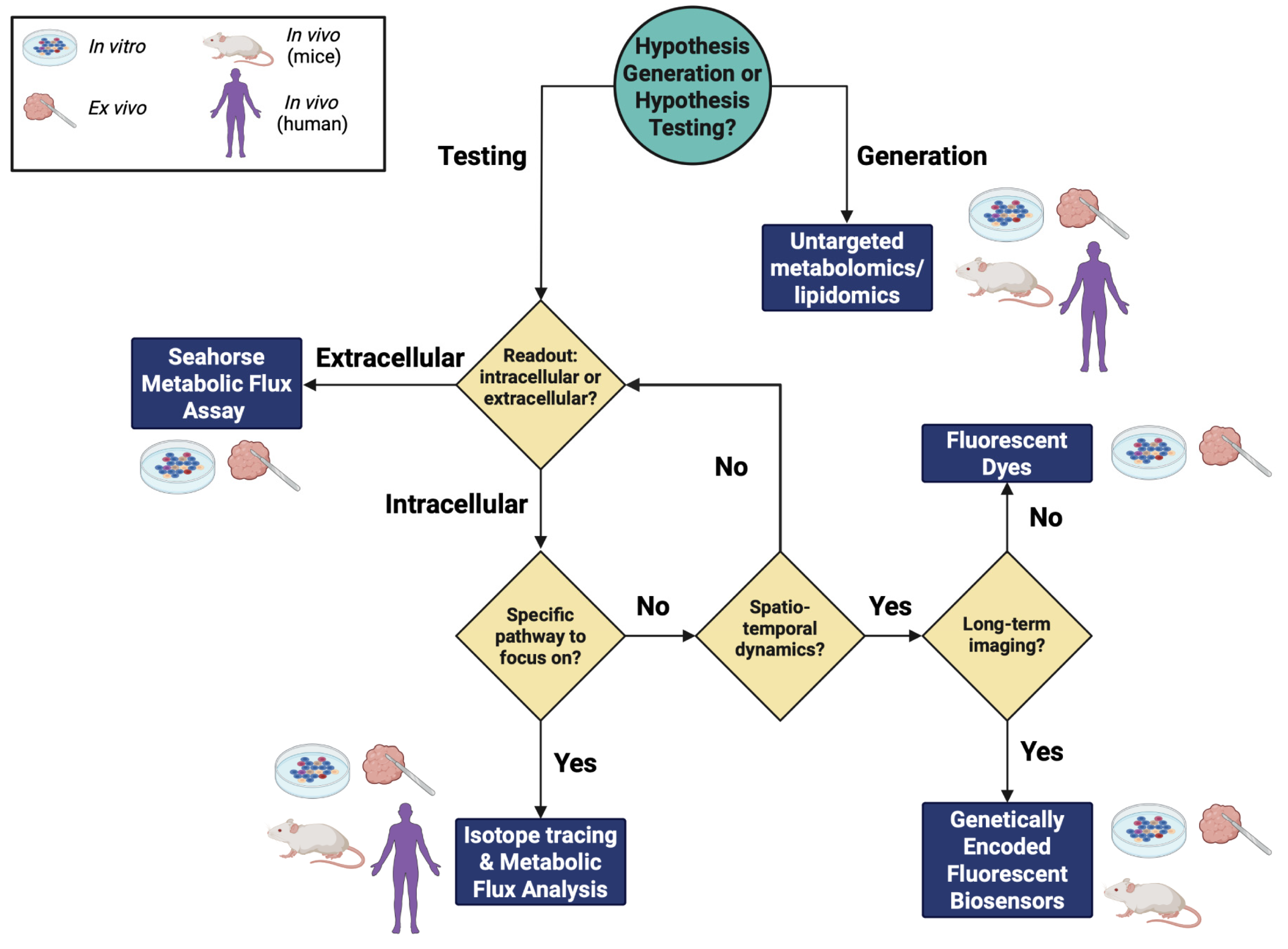 Ijms 26 08466 g001 Ijms 26 08466 g001