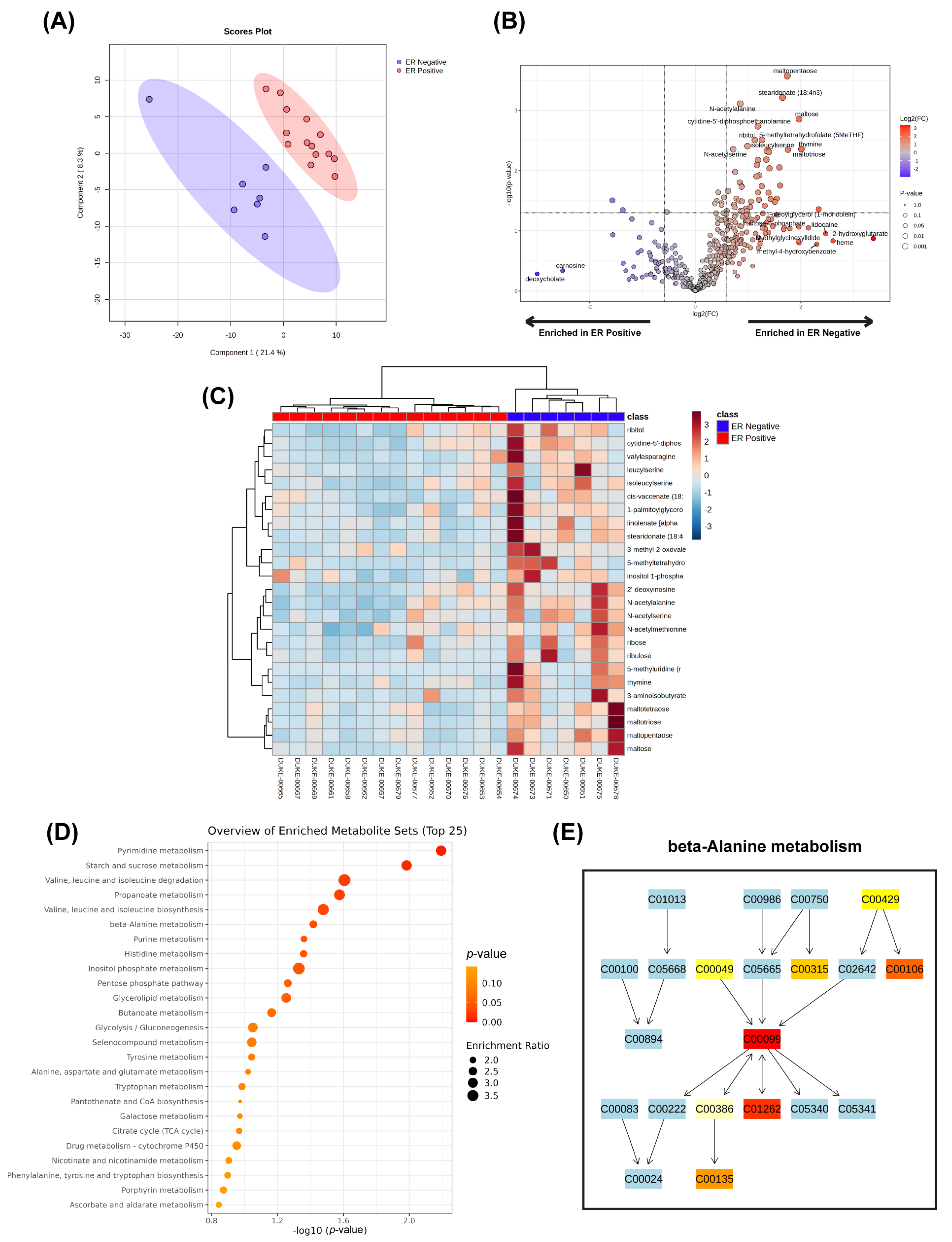 Ijms 26 08466 g002 Ijms 26 08466 g002