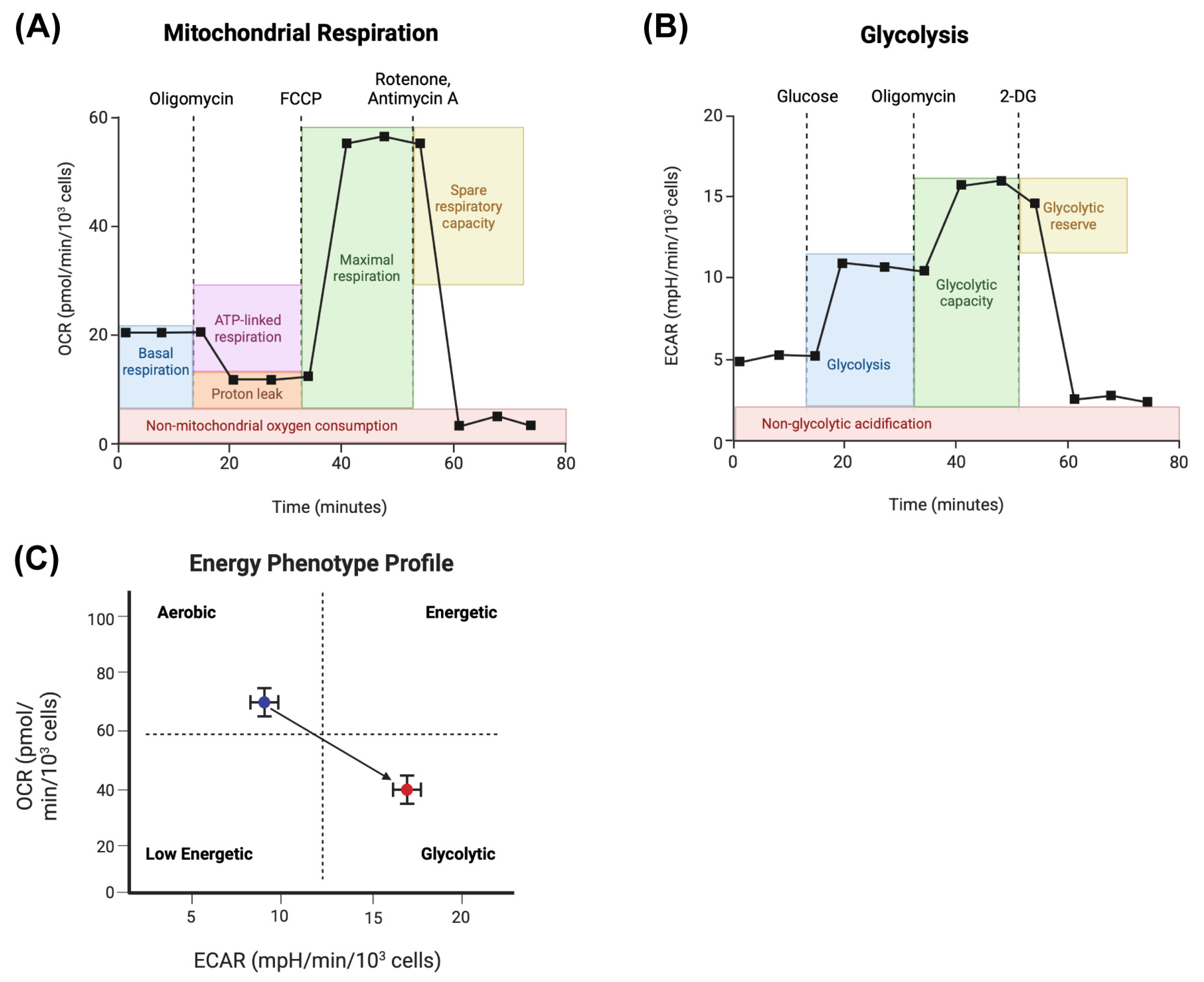 Ijms 26 08466 g003 Ijms 26 08466 g003