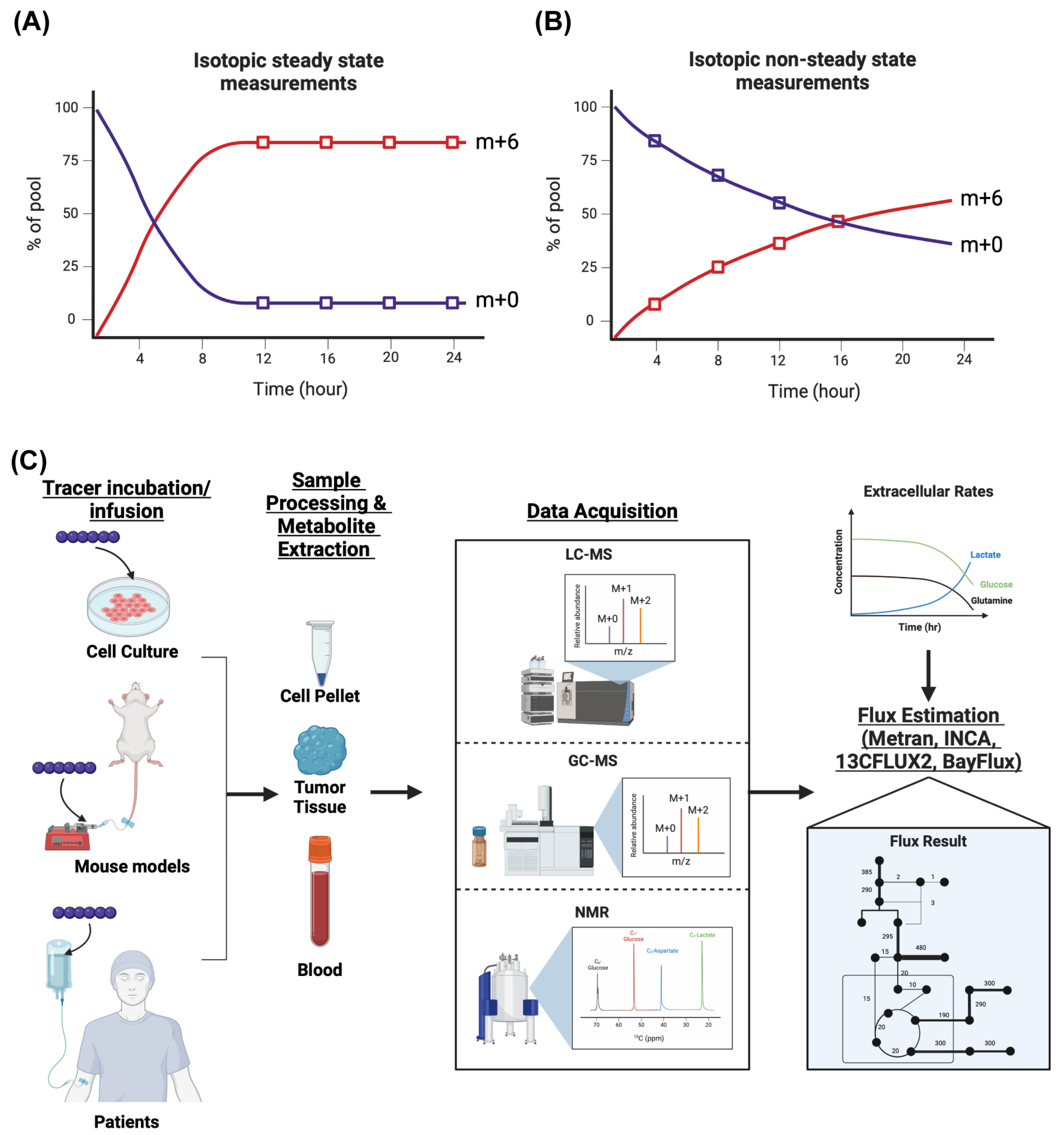 Ijms 26 08466 g004 Ijms 26 08466 g004