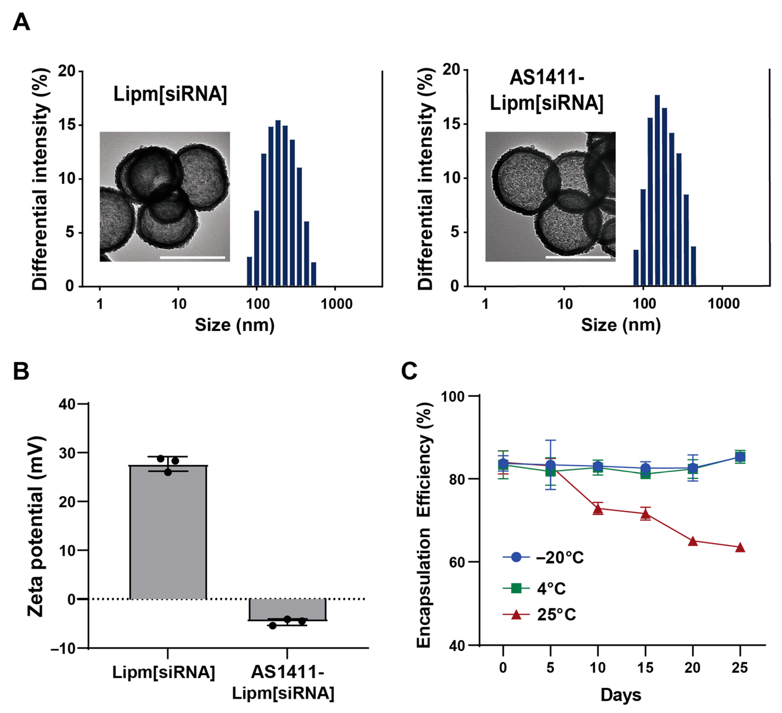 Ijms 26 08467 g002 Ijms 26 08467 g002