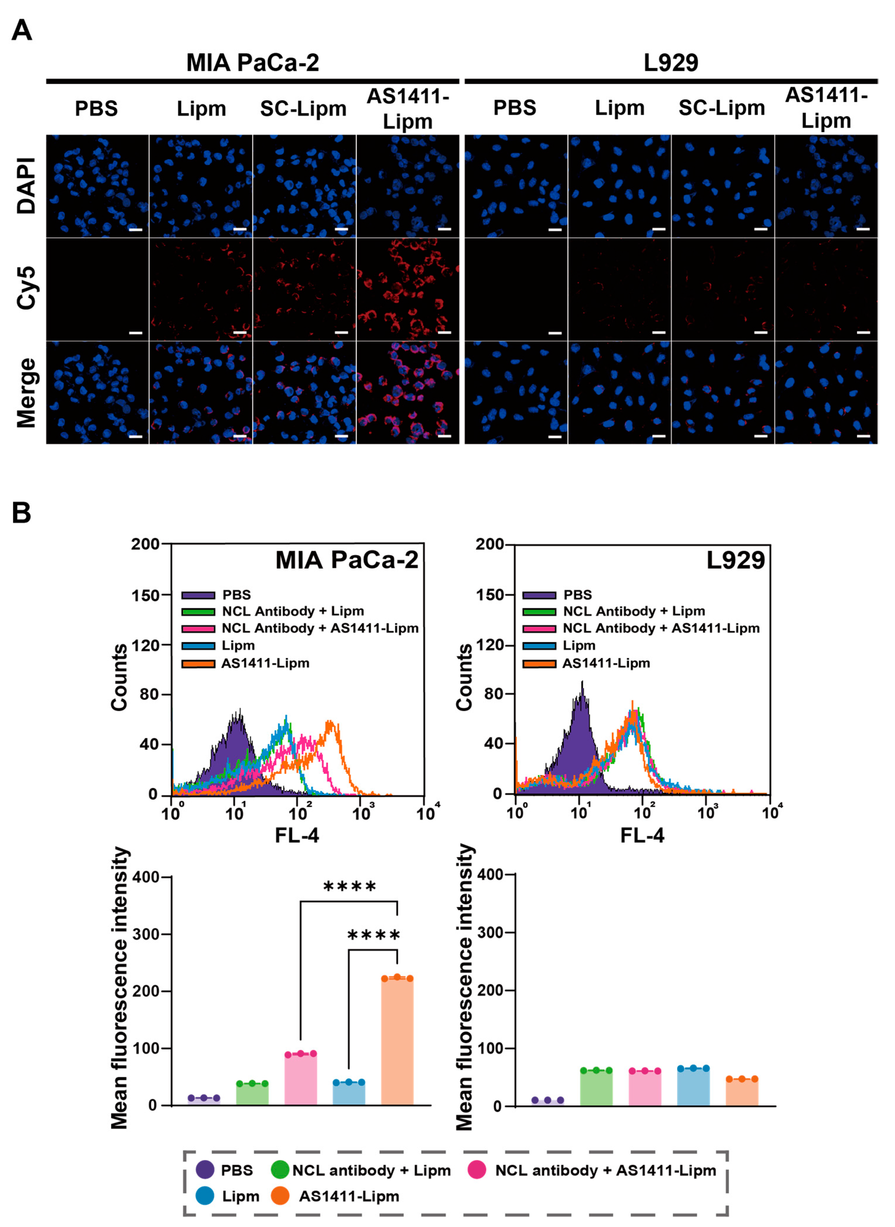 Ijms 26 08467 g003 Ijms 26 08467 g003