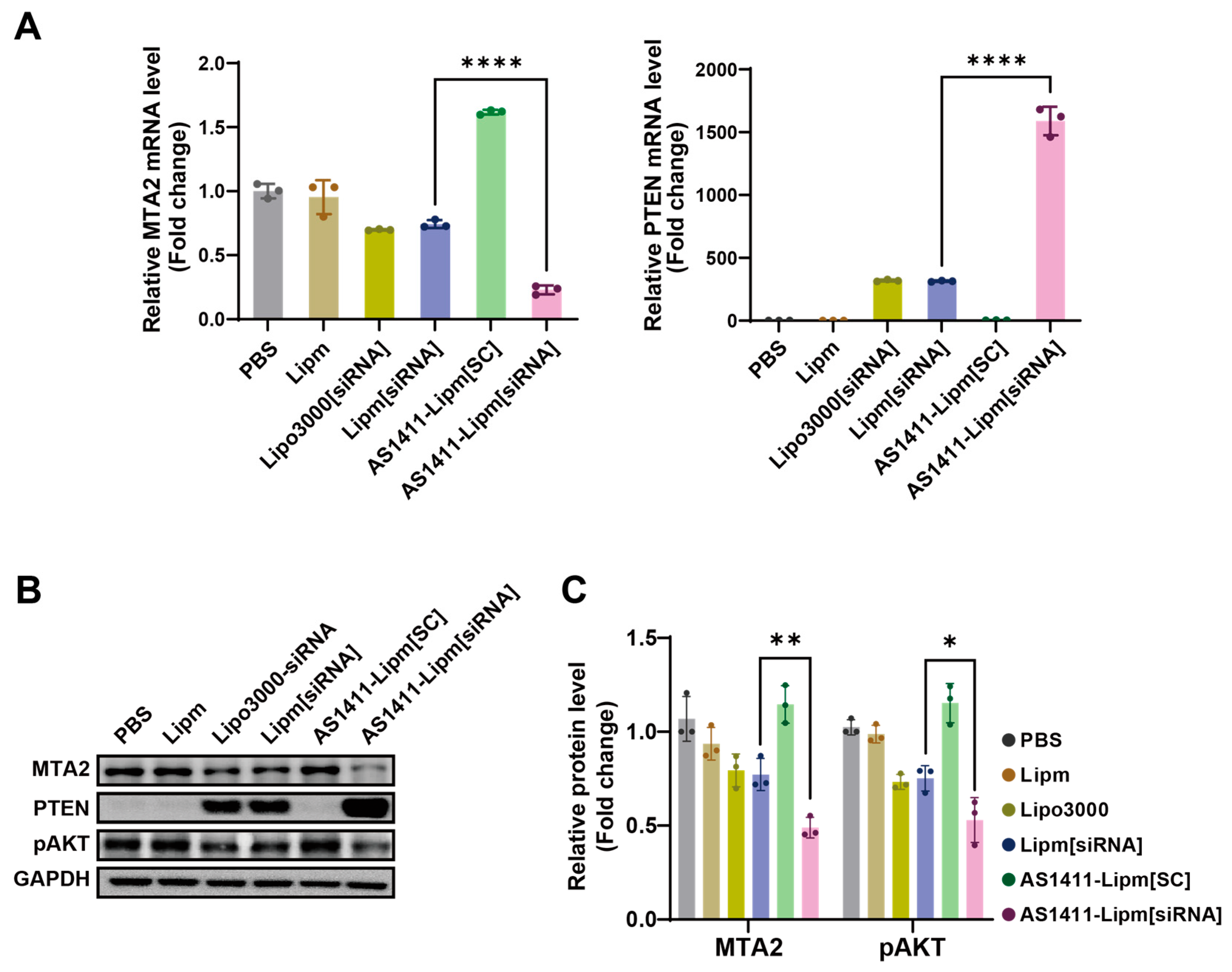 Ijms 26 08467 g005 Ijms 26 08467 g005