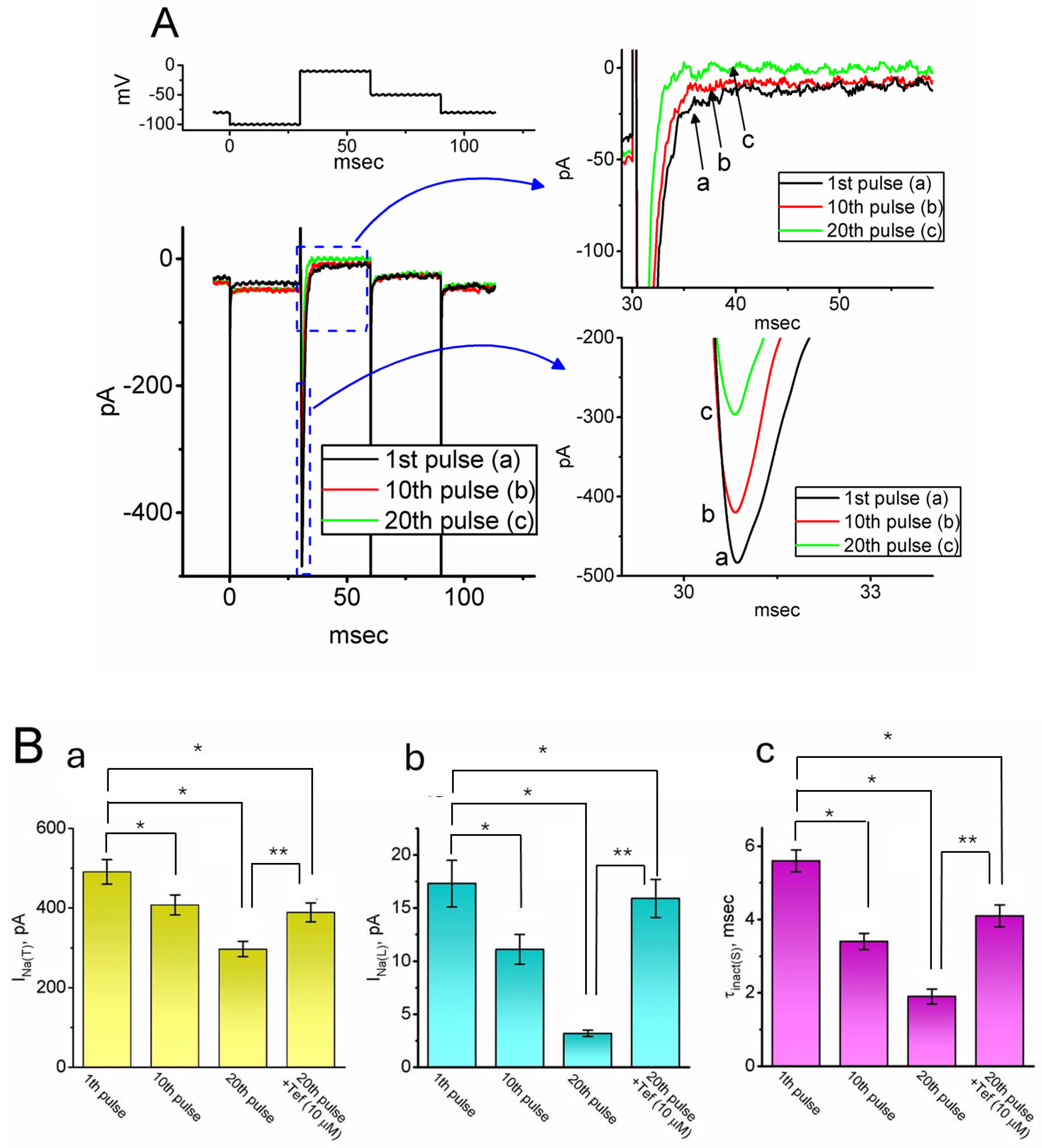 Ijms 26 08469 g002 Ijms 26 08469 g002
