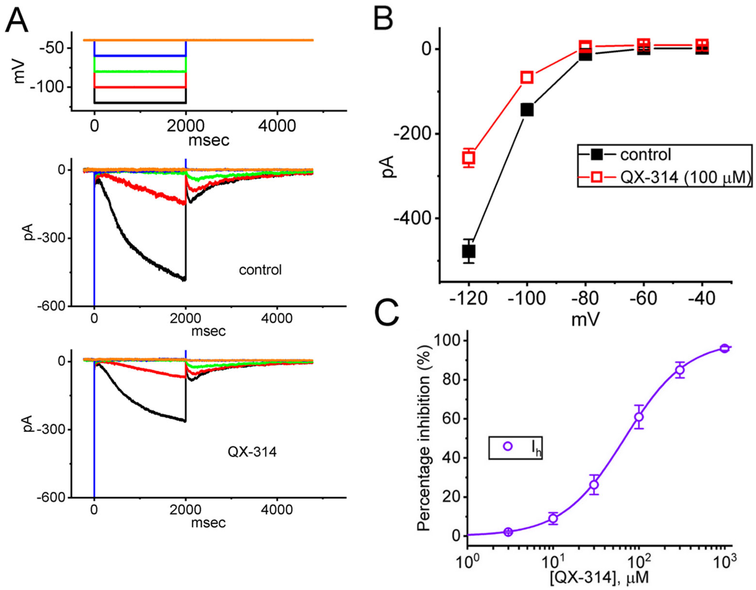 Ijms 26 08469 g003 Ijms 26 08469 g003