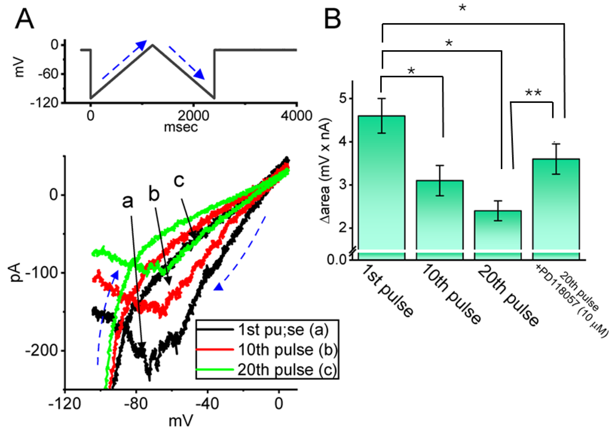 Ijms 26 08469 g006 Ijms 26 08469 g006
