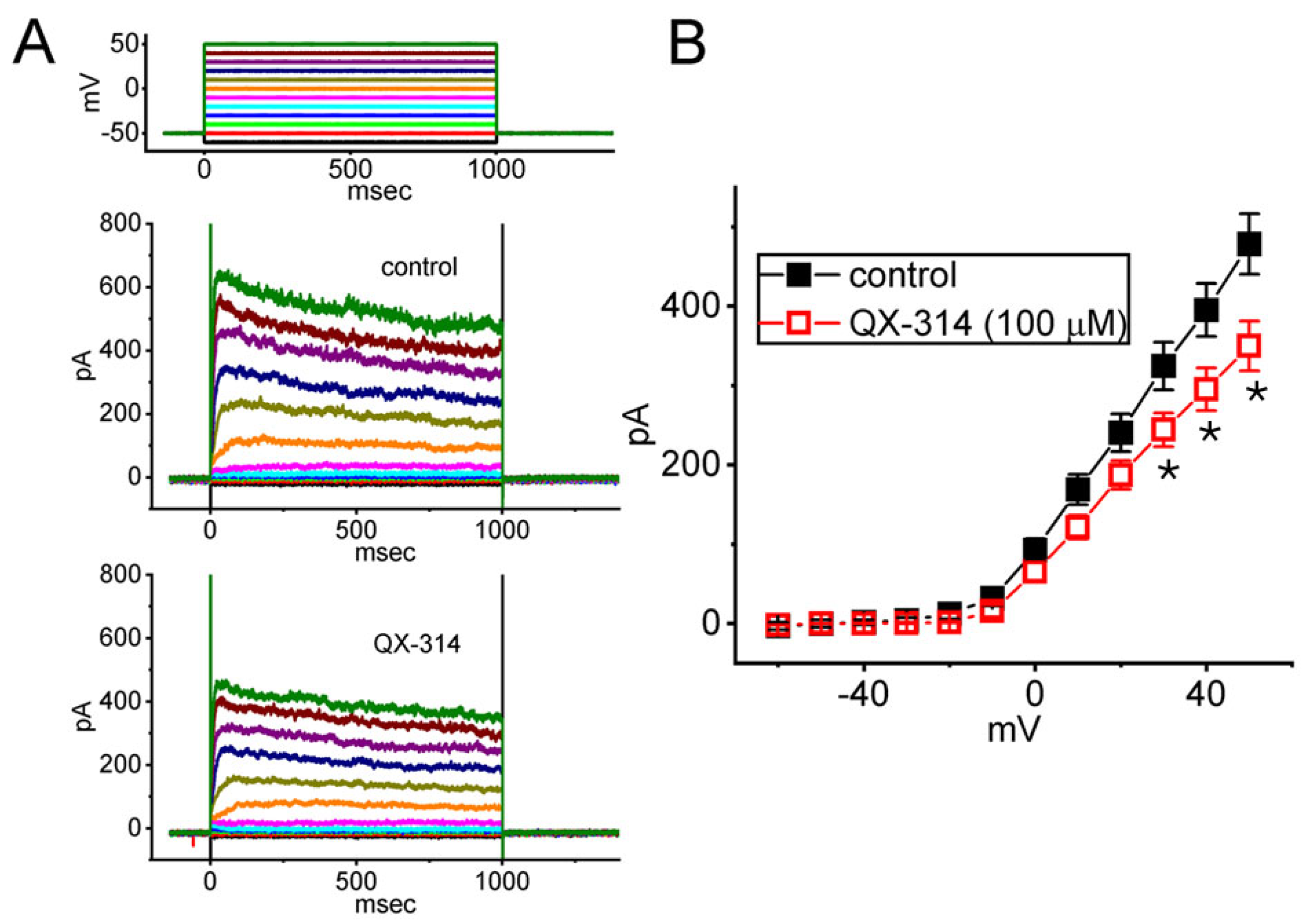 Ijms 26 08469 g007 Ijms 26 08469 g007