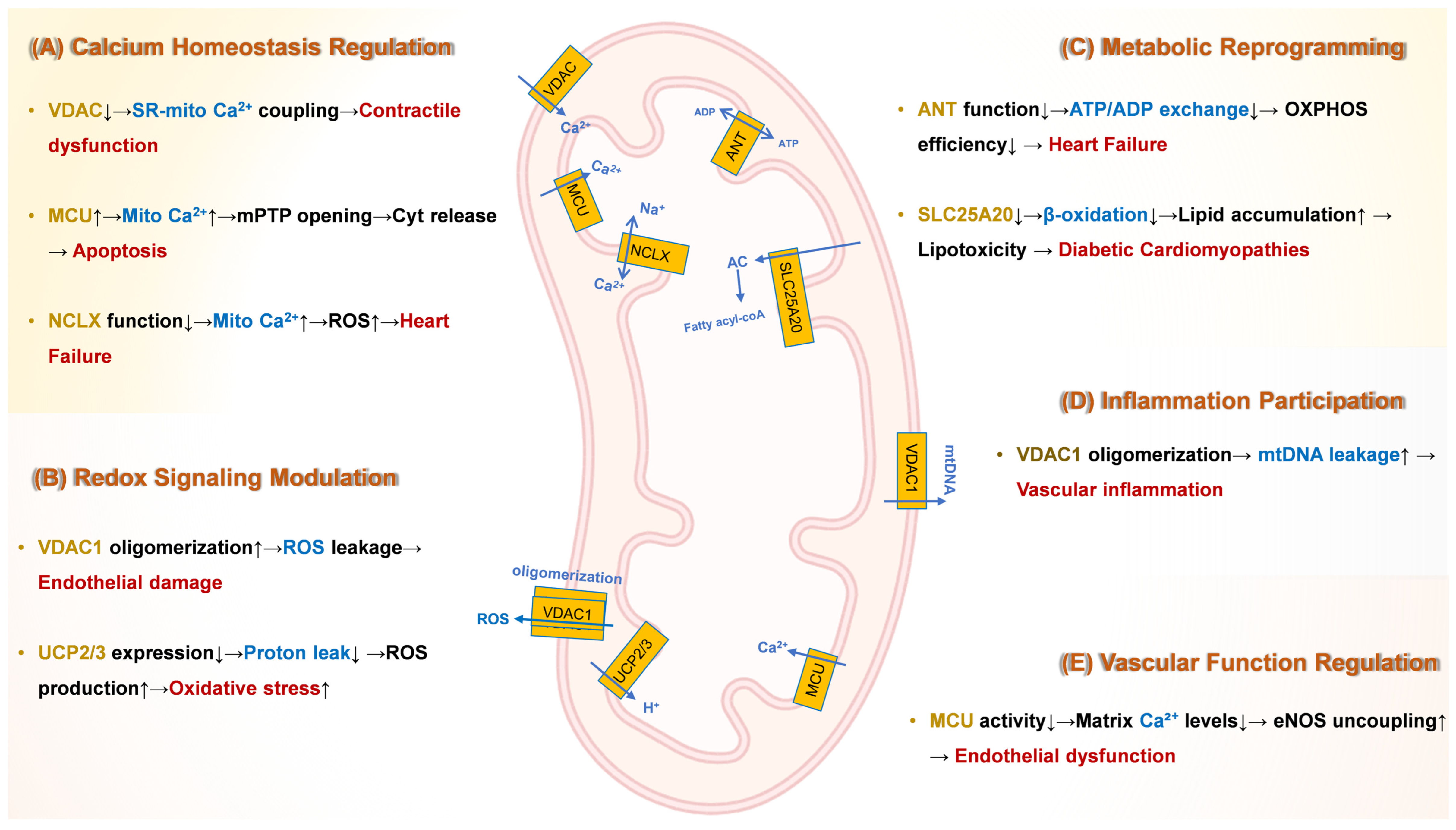 Ijms 26 08475 g001 Ijms 26 08475 g001