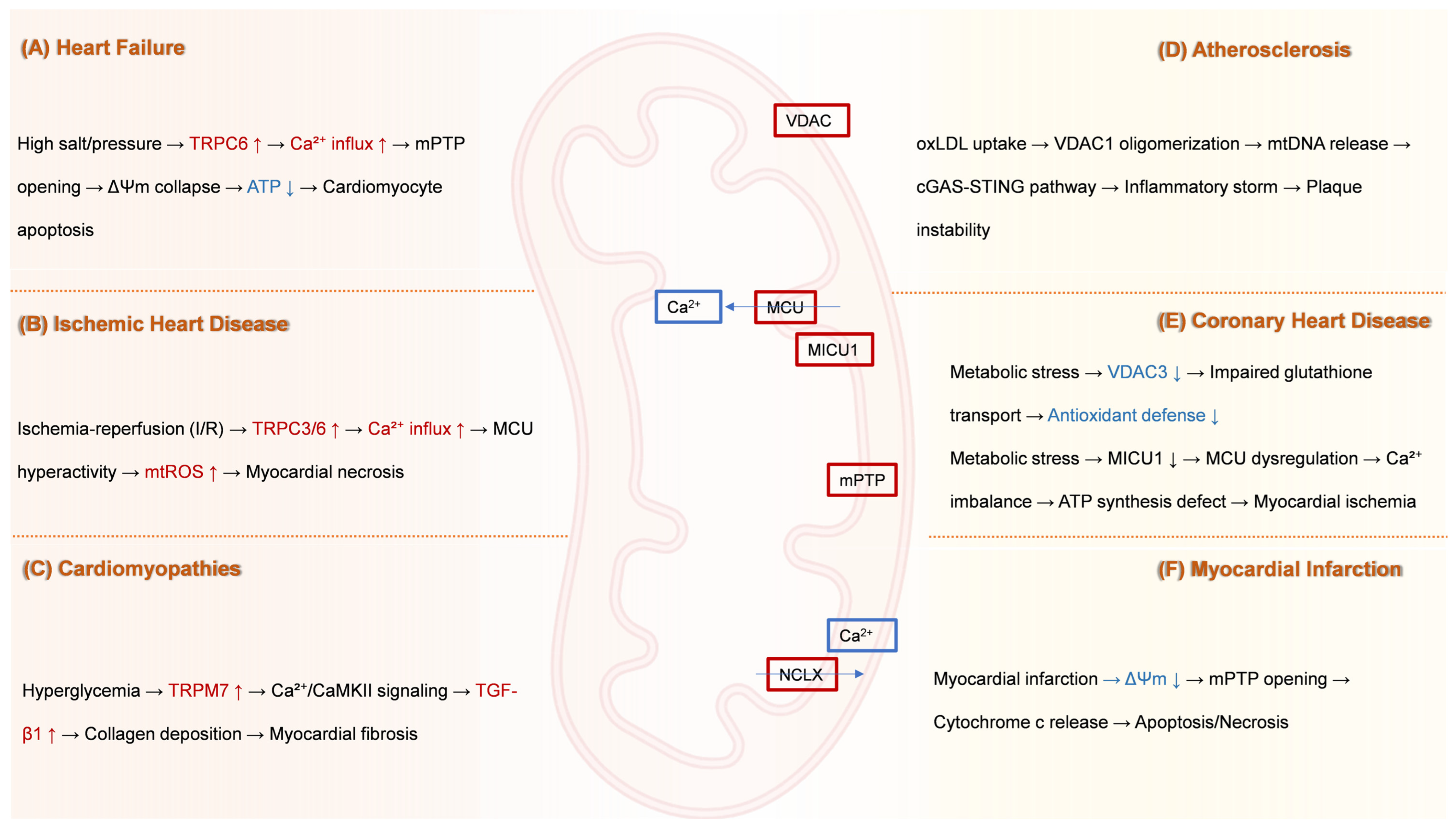 Ijms 26 08475 g002 Ijms 26 08475 g002
