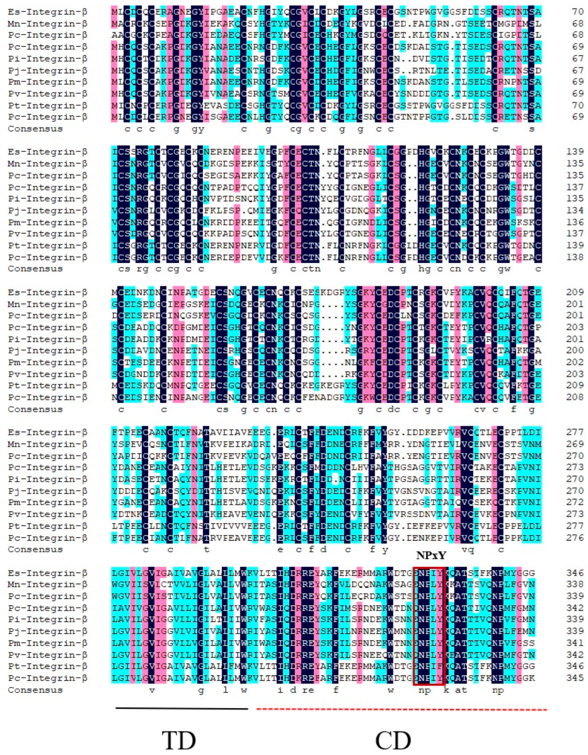 Ijms 26 08478 g002 Ijms 26 08478 g002