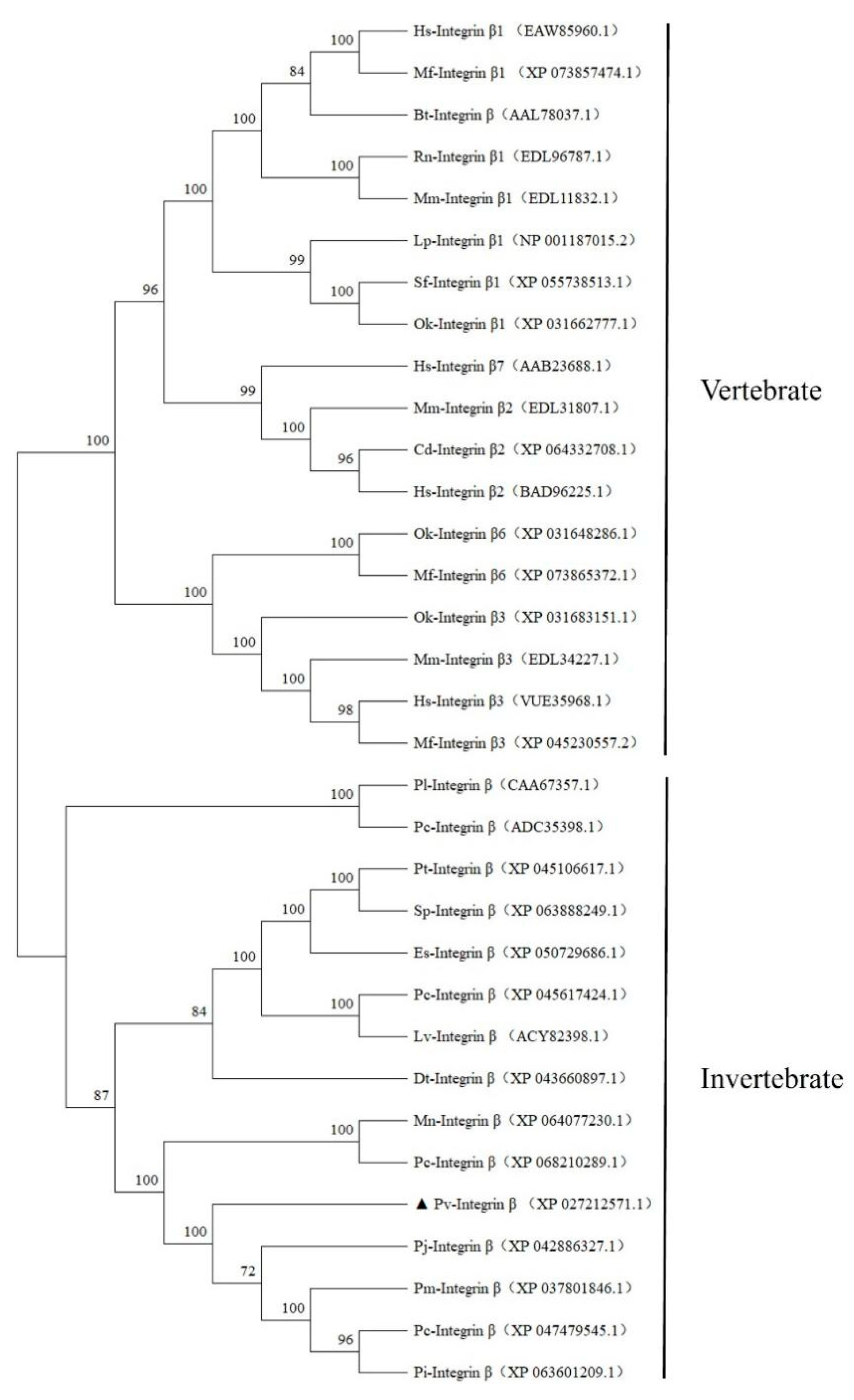 Ijms 26 08478 g003 Ijms 26 08478 g003