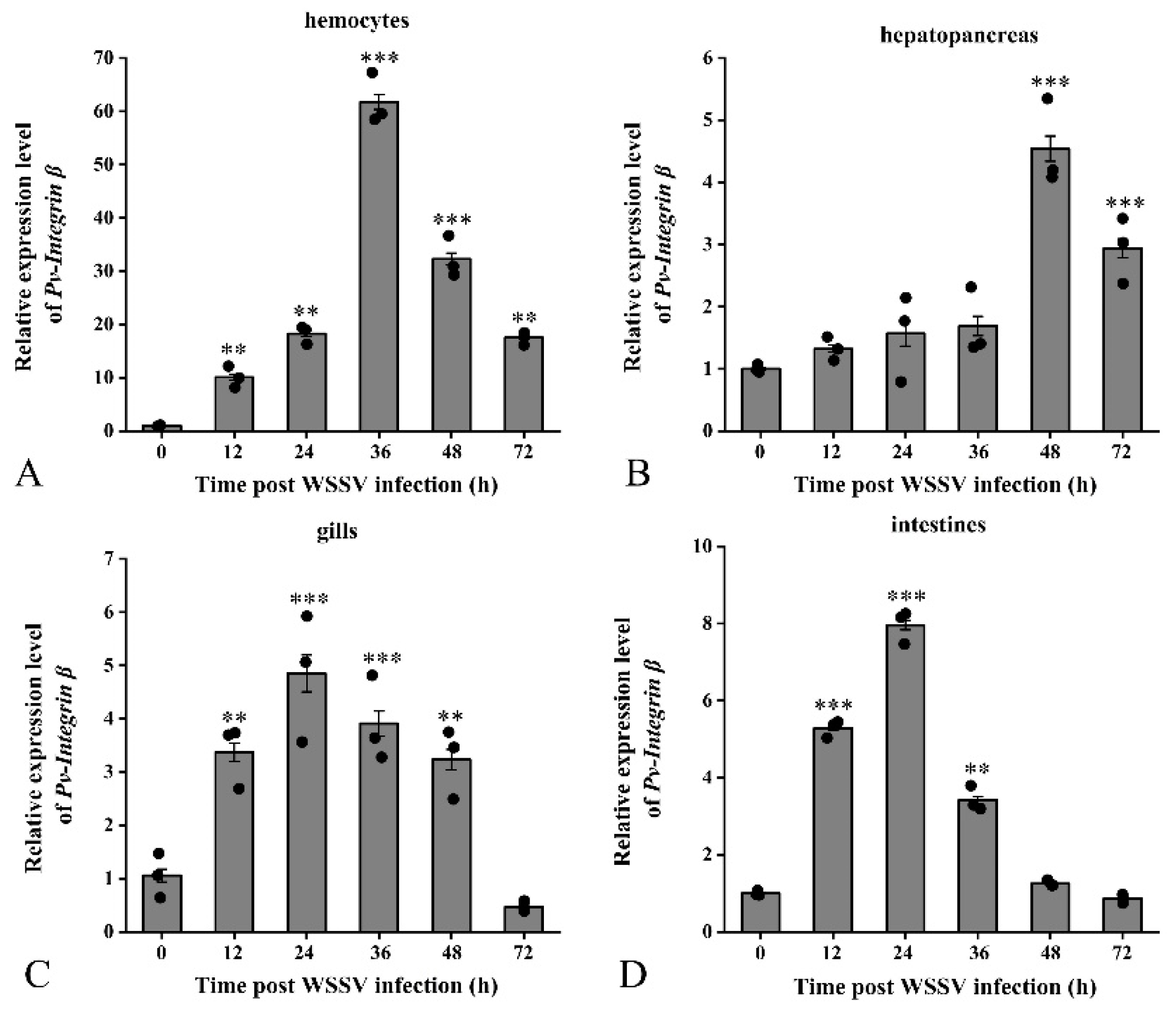 Ijms 26 08478 g005 Ijms 26 08478 g005