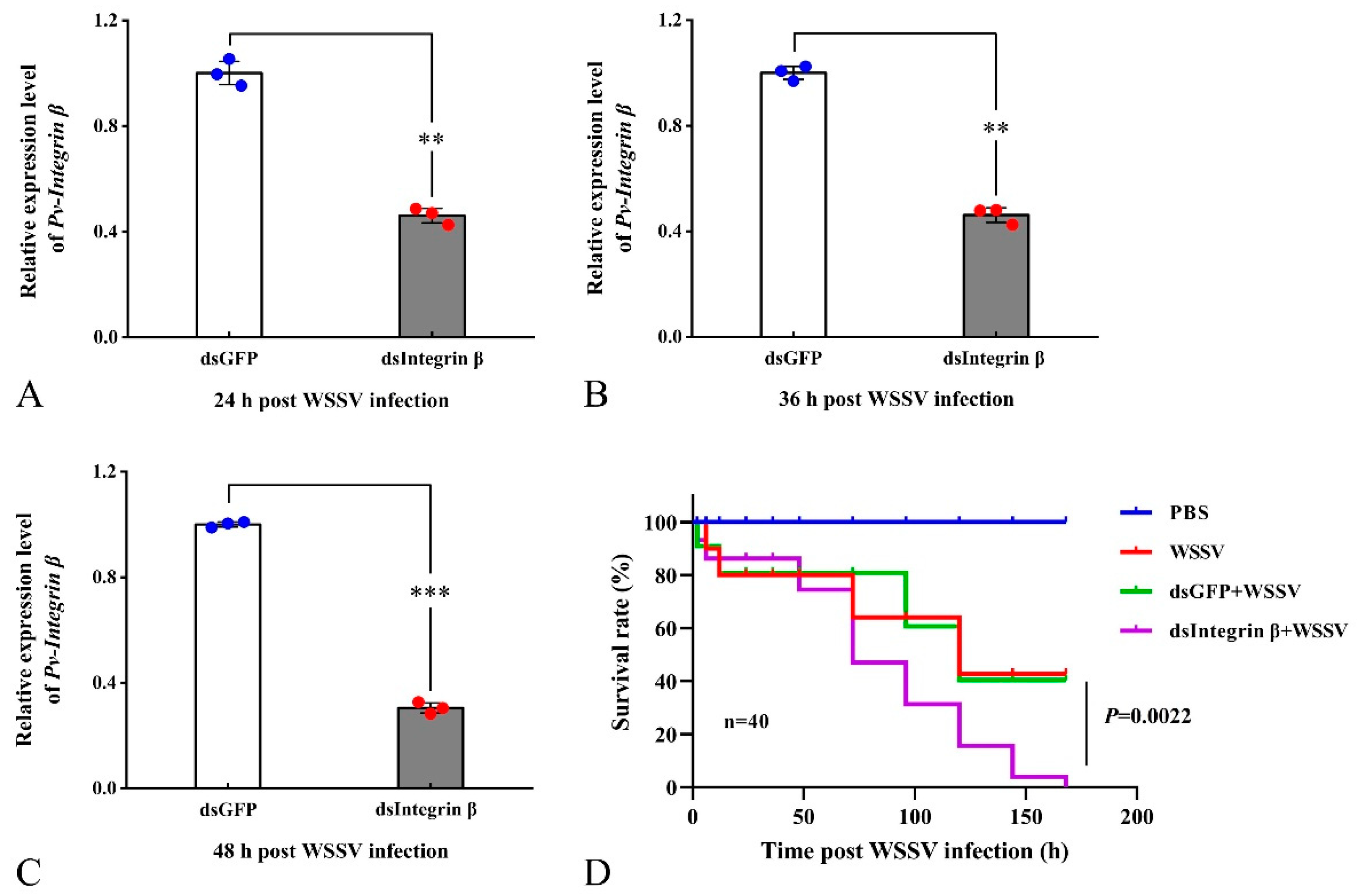 Ijms 26 08478 g006 Ijms 26 08478 g006
