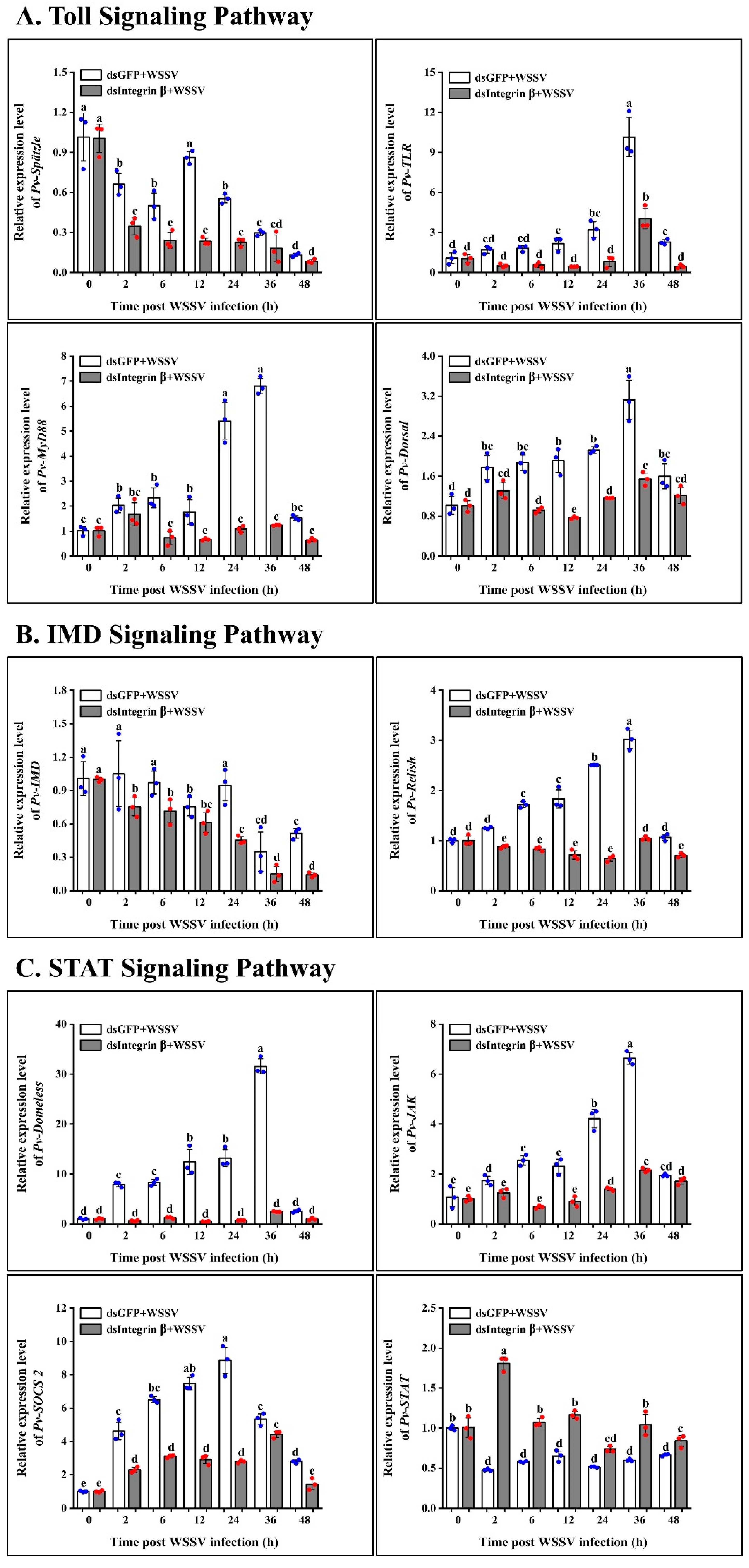 Ijms 26 08478 g008a Ijms 26 08478 g008a