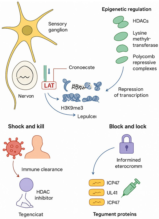 その他 mb Mercedes-Benz Genuine Brake Fluid DOT4 Plus MB 331.0