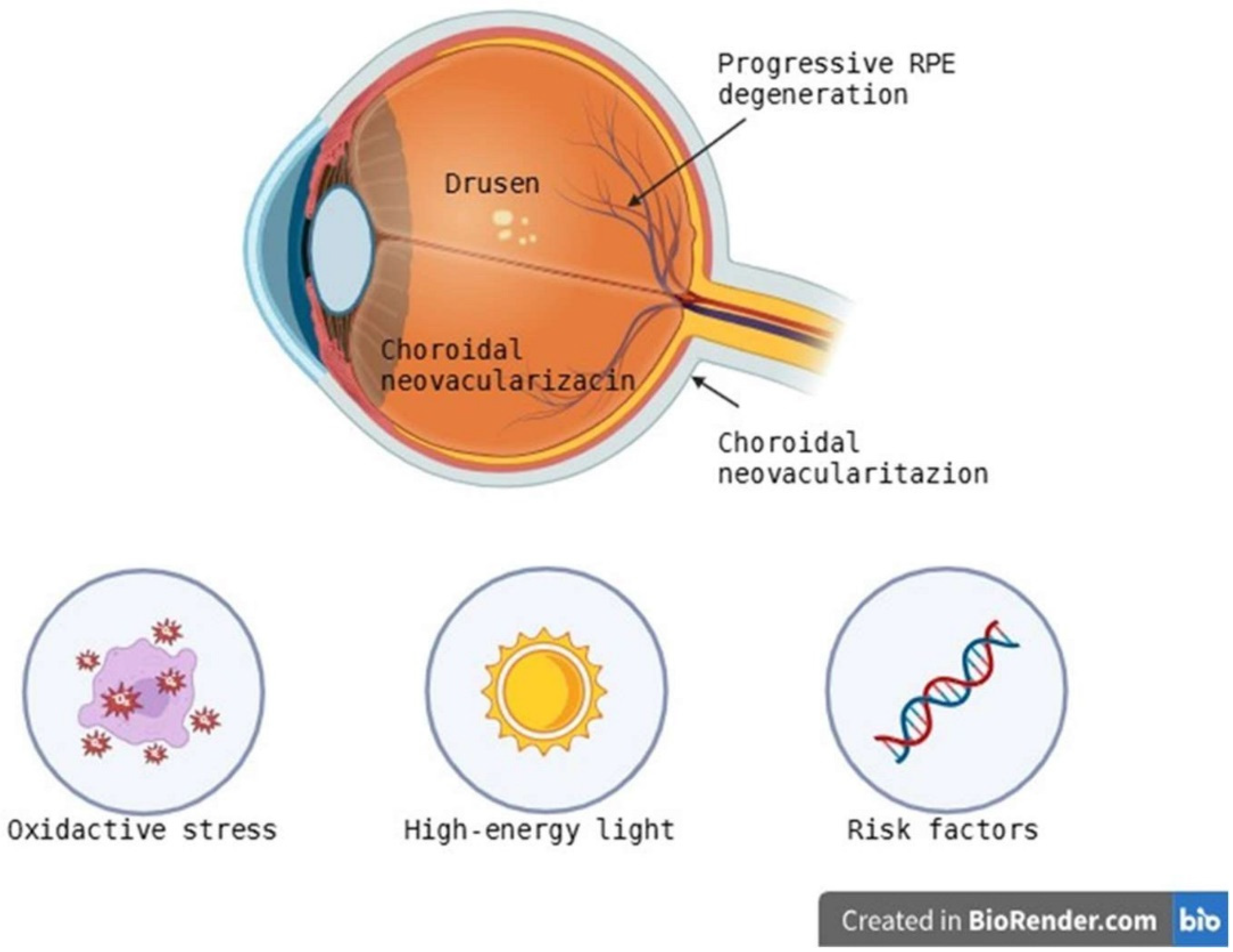 Ijms 26 08496 g002 Ijms 26 08496 g002