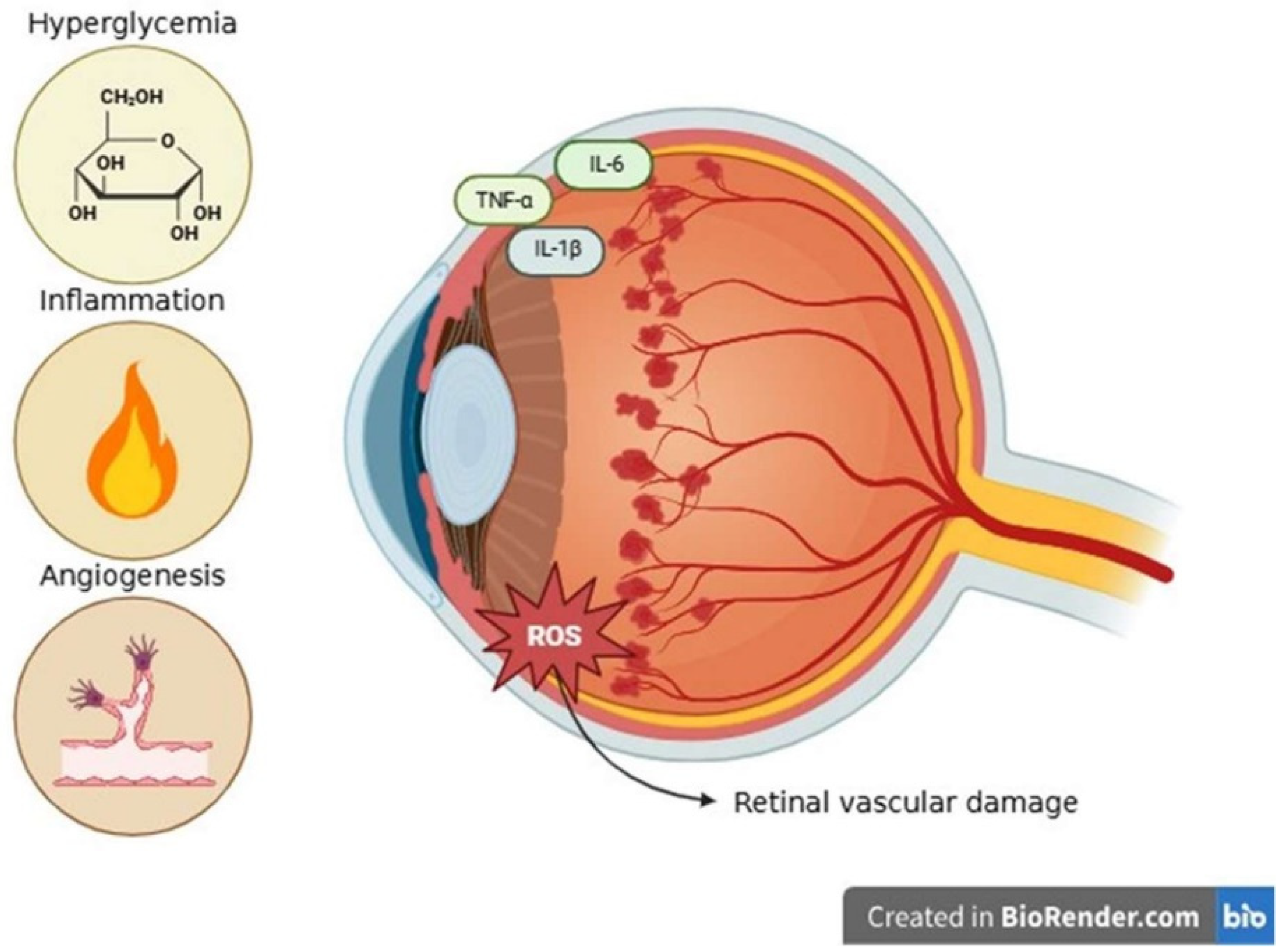 Ijms 26 08496 g003 Ijms 26 08496 g003