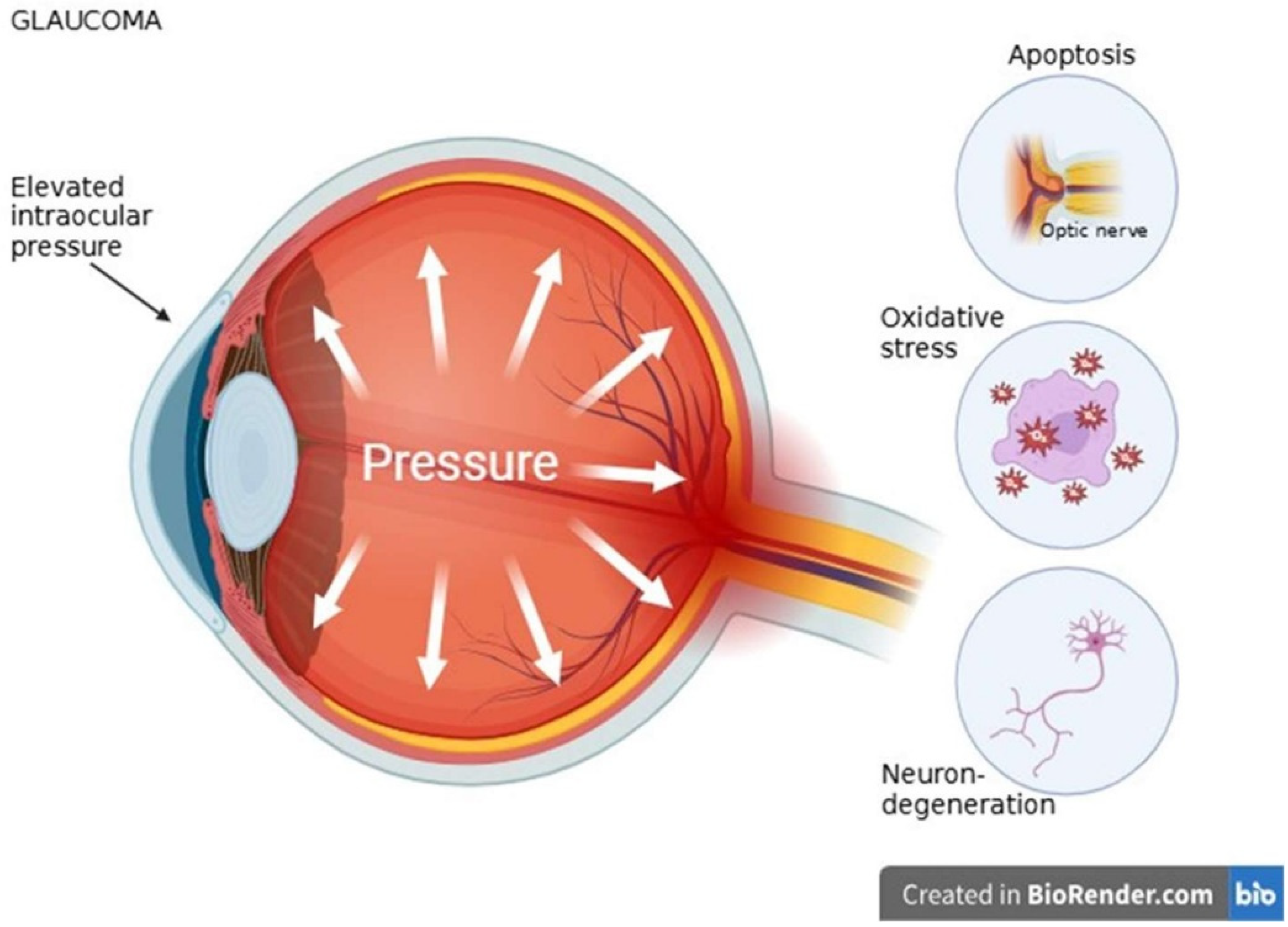 Ijms 26 08496 g004 Ijms 26 08496 g004