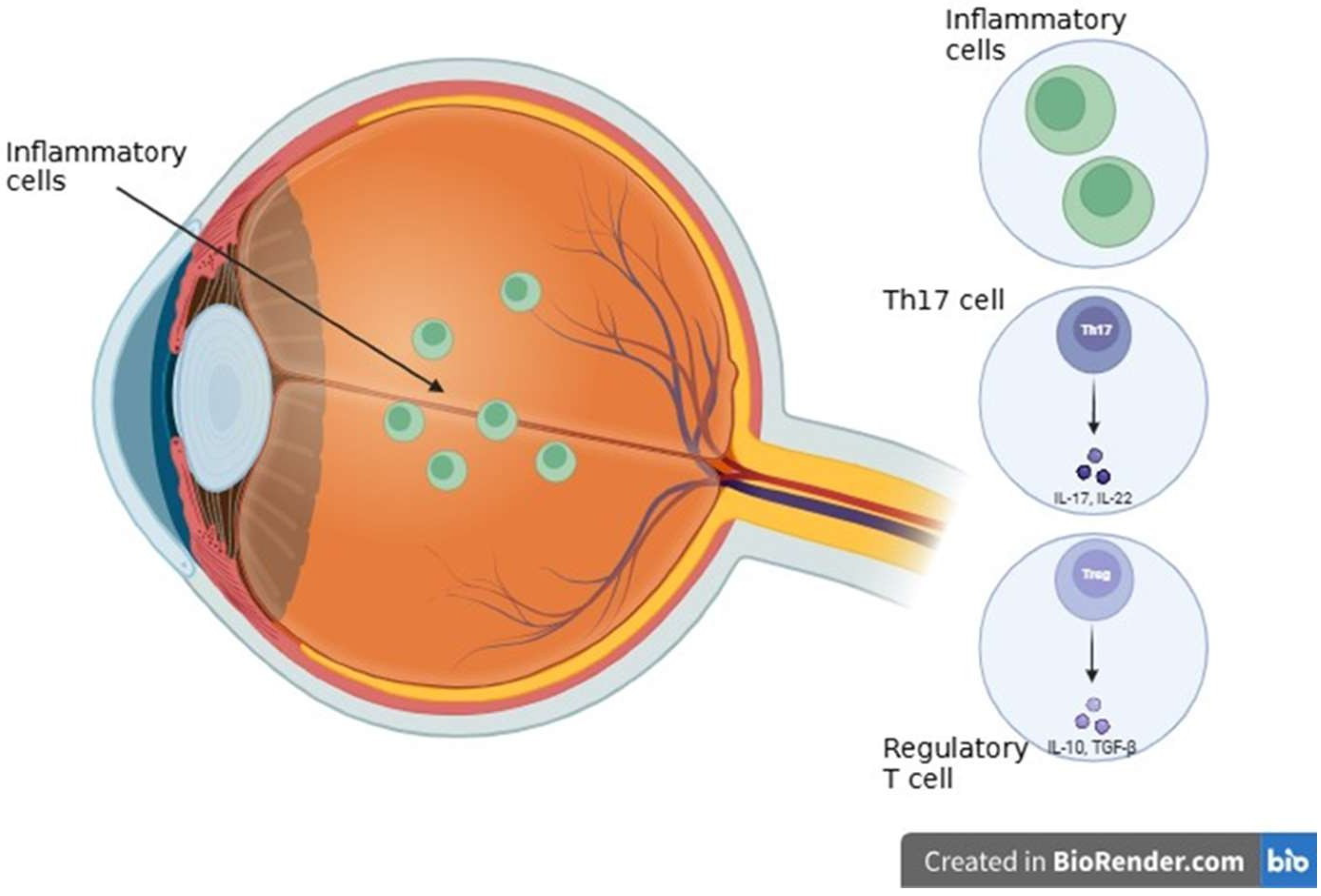 Ijms 26 08496 g006 Ijms 26 08496 g006