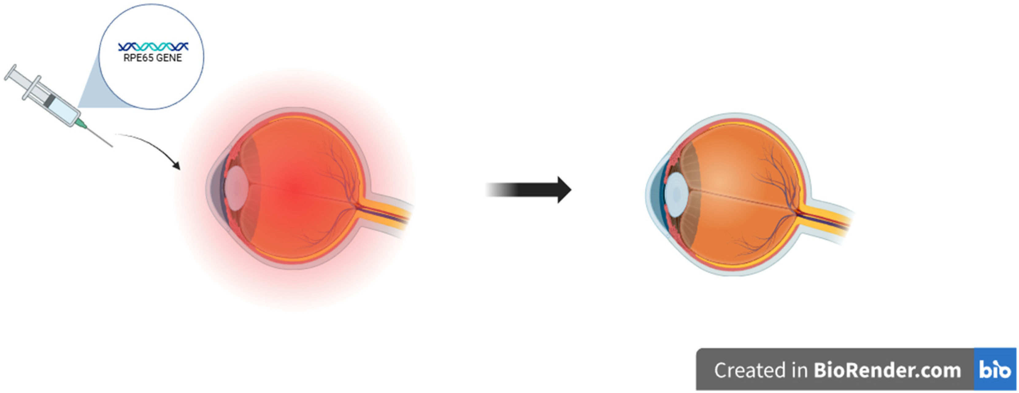 Ijms 26 08496 g007 Ijms 26 08496 g007