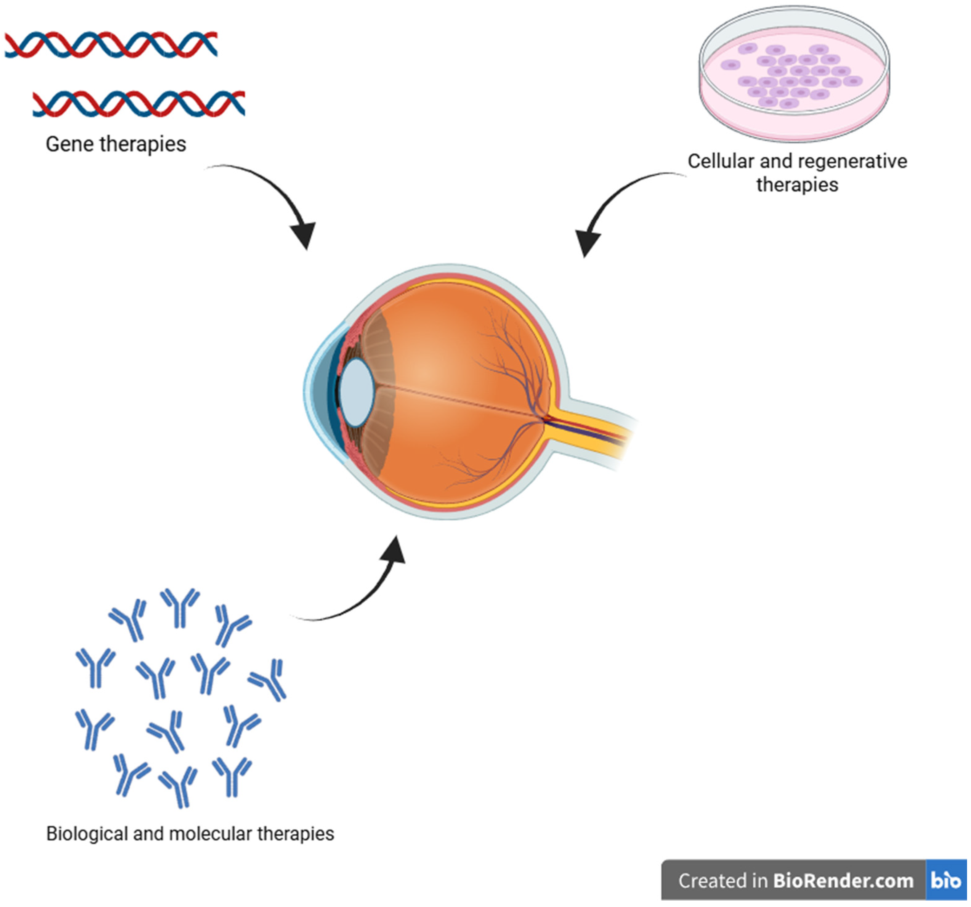 Ijms 26 08496 g008 Ijms 26 08496 g008