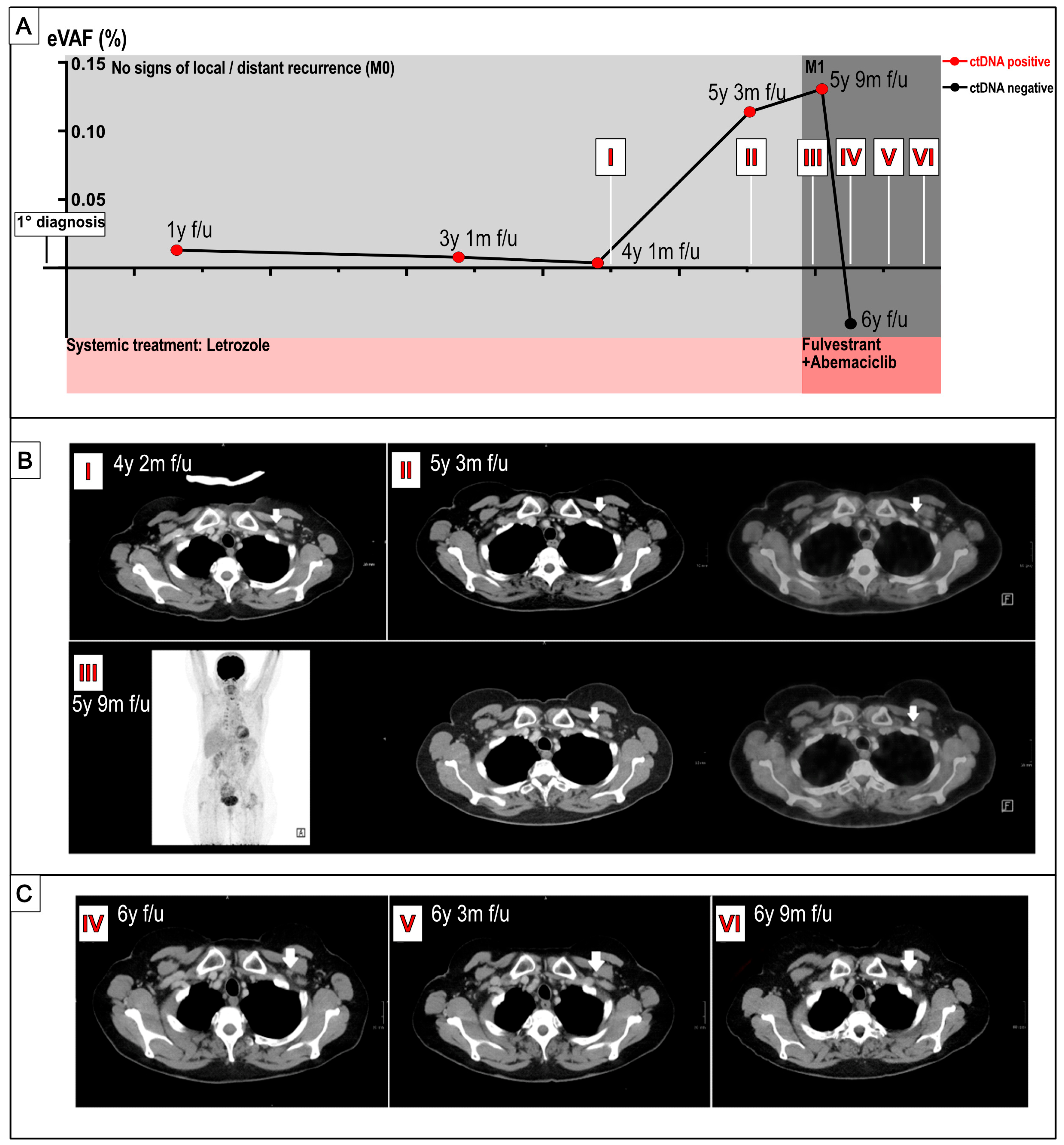 Ijms 26 08498 g001 Ijms 26 08498 g001