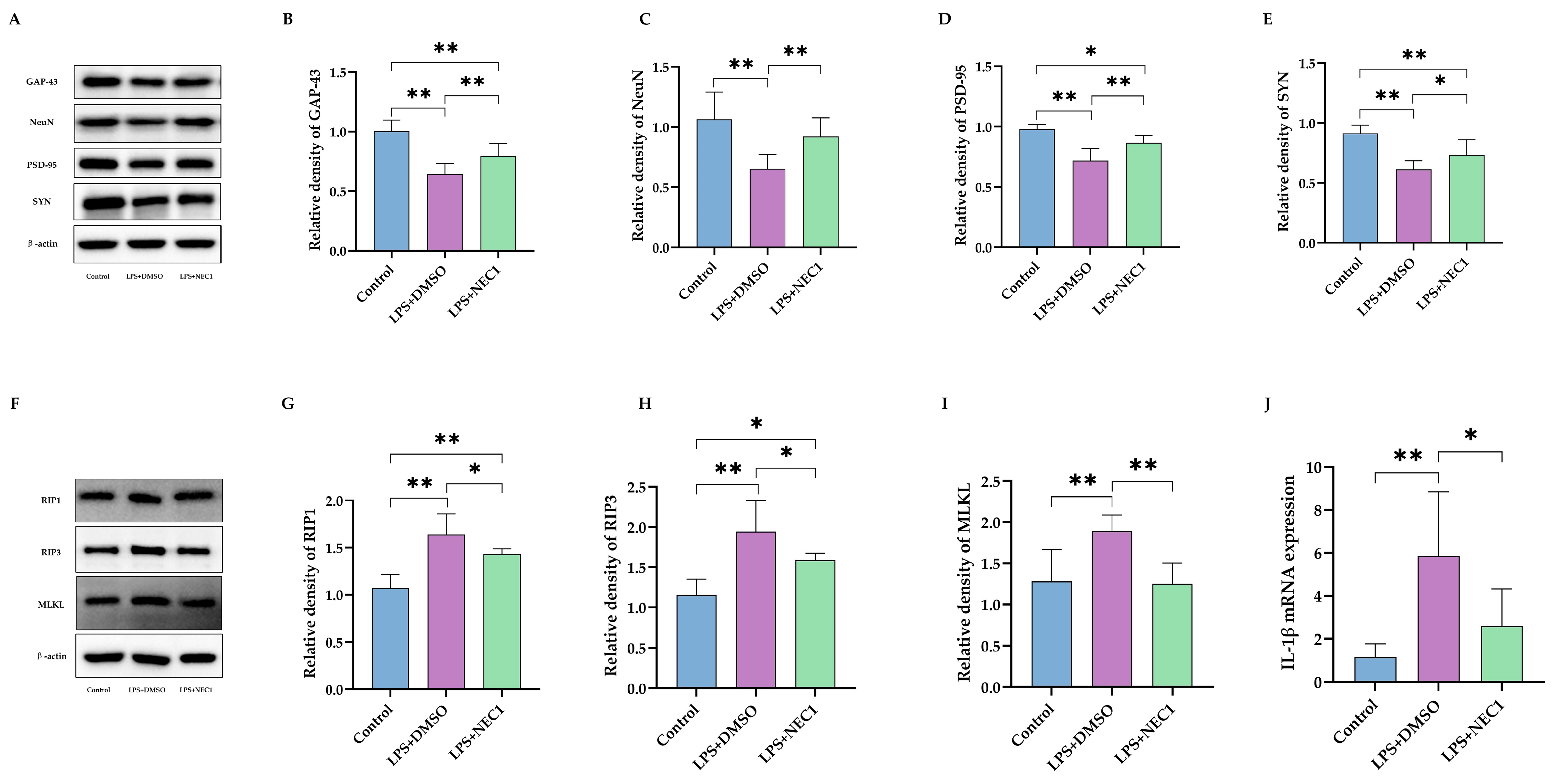 Ijms 26 08513 g008 Ijms 26 08513 g008
