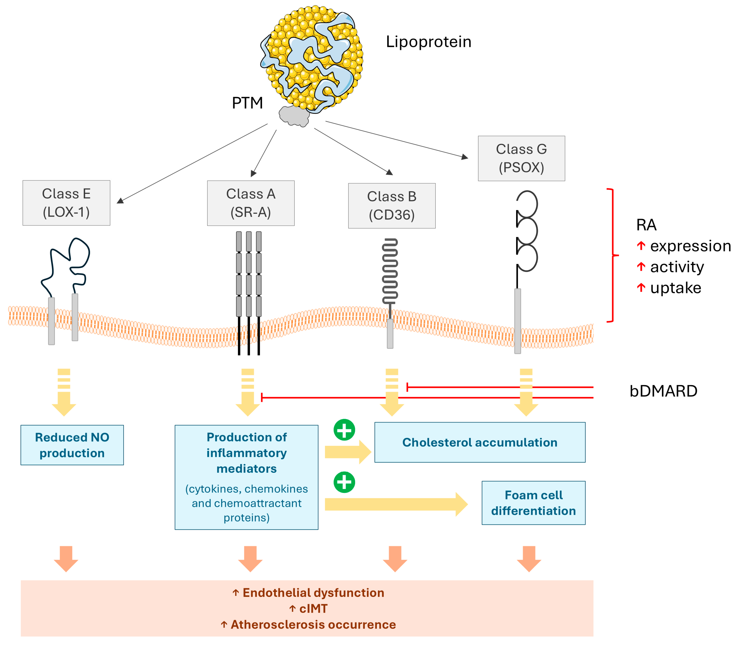 Ijms 26 08514 g008 Ijms 26 08514 g008